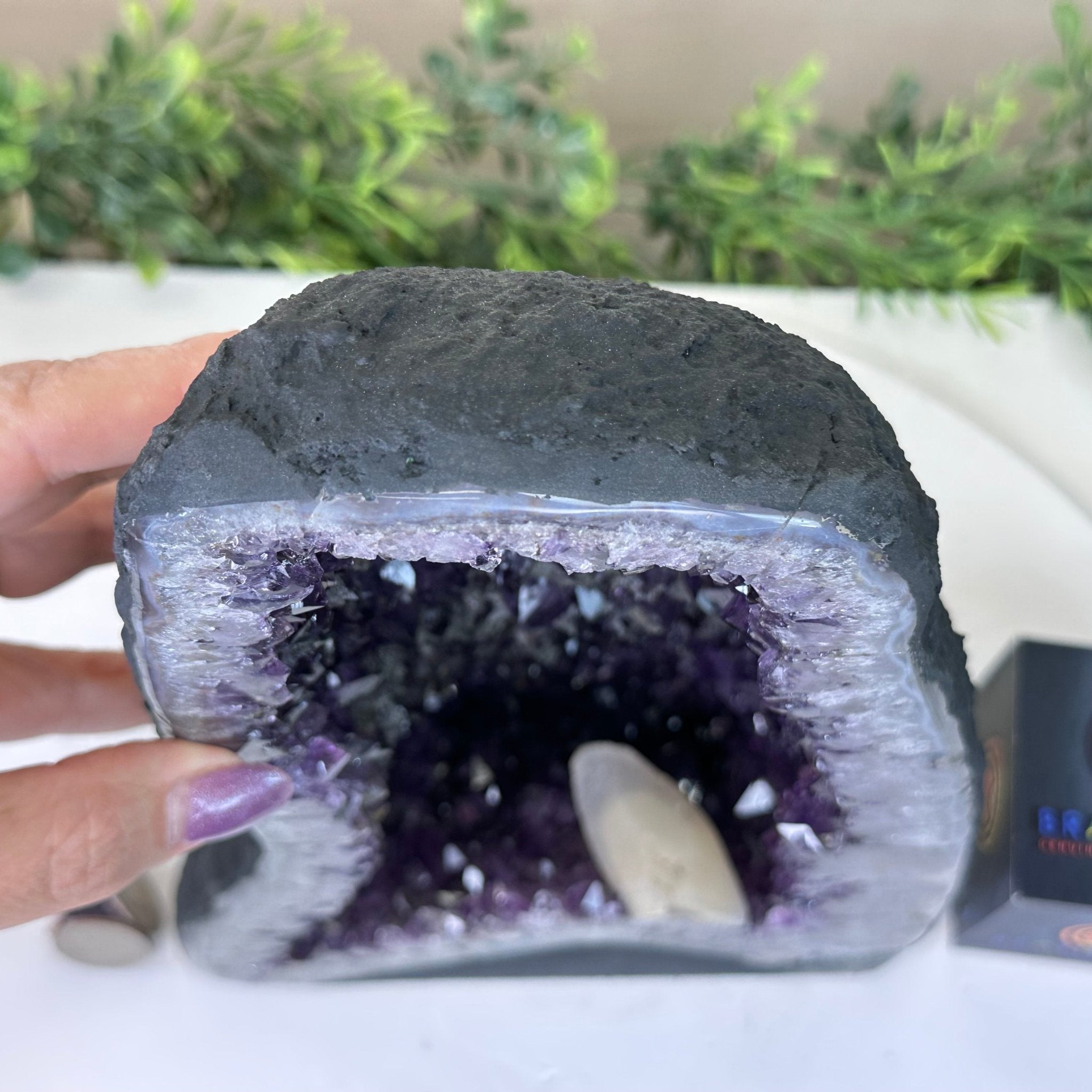 Extra Plus Quality Amethyst Cathedral, 12 lbs & 11" Tall #5601 - 1440 - Brazil GemsBrazil GemsExtra Plus Quality Amethyst Cathedral, 12 lbs & 11" Tall #5601 - 1440Cathedrals5601 - 1440