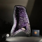 Extra Plus Quality Amethyst Cathedral, 12 lbs & 11" Tall #5601 - 1440 - Brazil GemsBrazil GemsExtra Plus Quality Amethyst Cathedral, 12 lbs & 11" Tall #5601 - 1440Cathedrals5601 - 1440