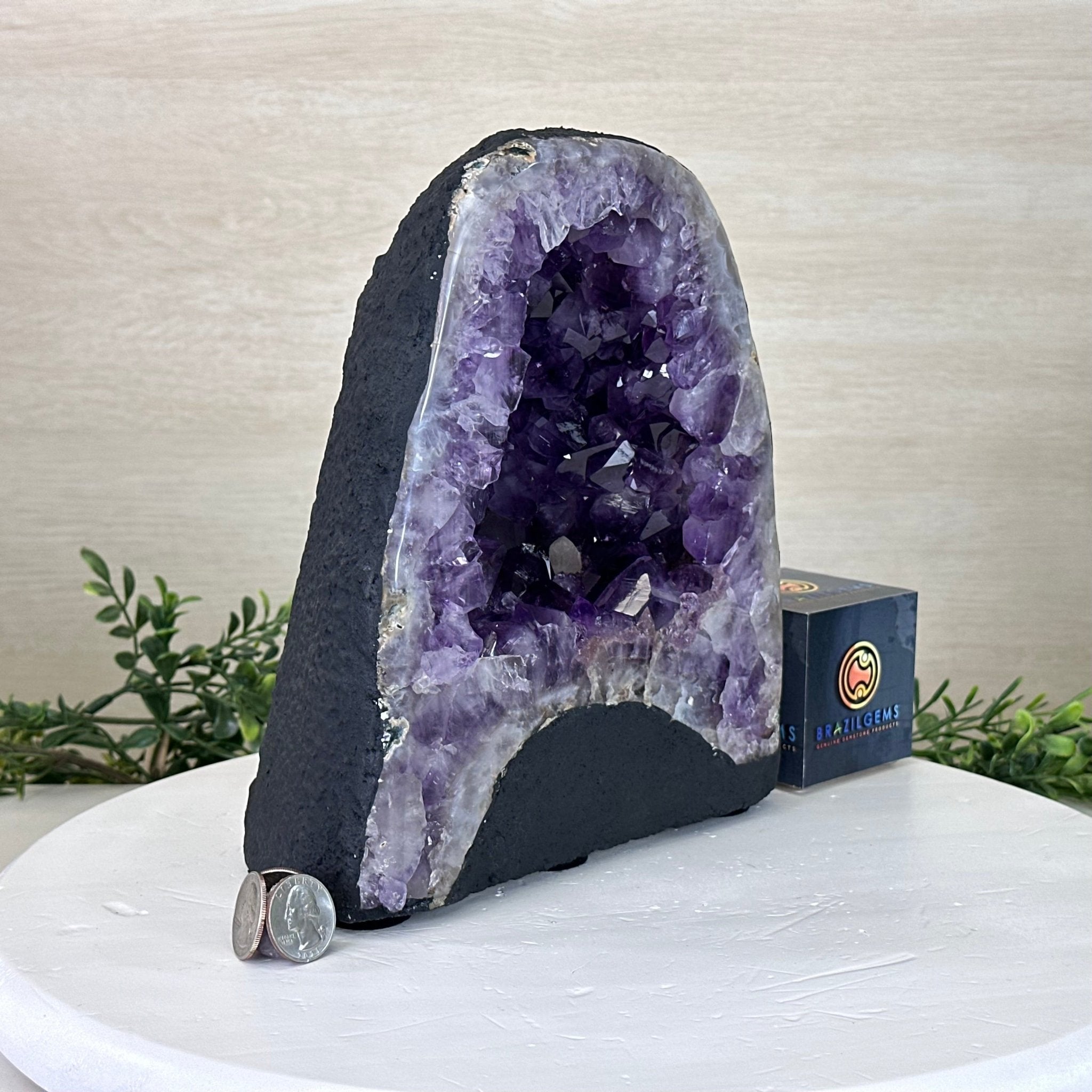 Extra Plus Quality Amethyst Cathedral, 12.9 lbs & 9.1" Tall #5601 - 1441 - Brazil GemsBrazil GemsExtra Plus Quality Amethyst Cathedral, 12.9 lbs & 9.1" Tall #5601 - 1441Cathedrals5601 - 1441