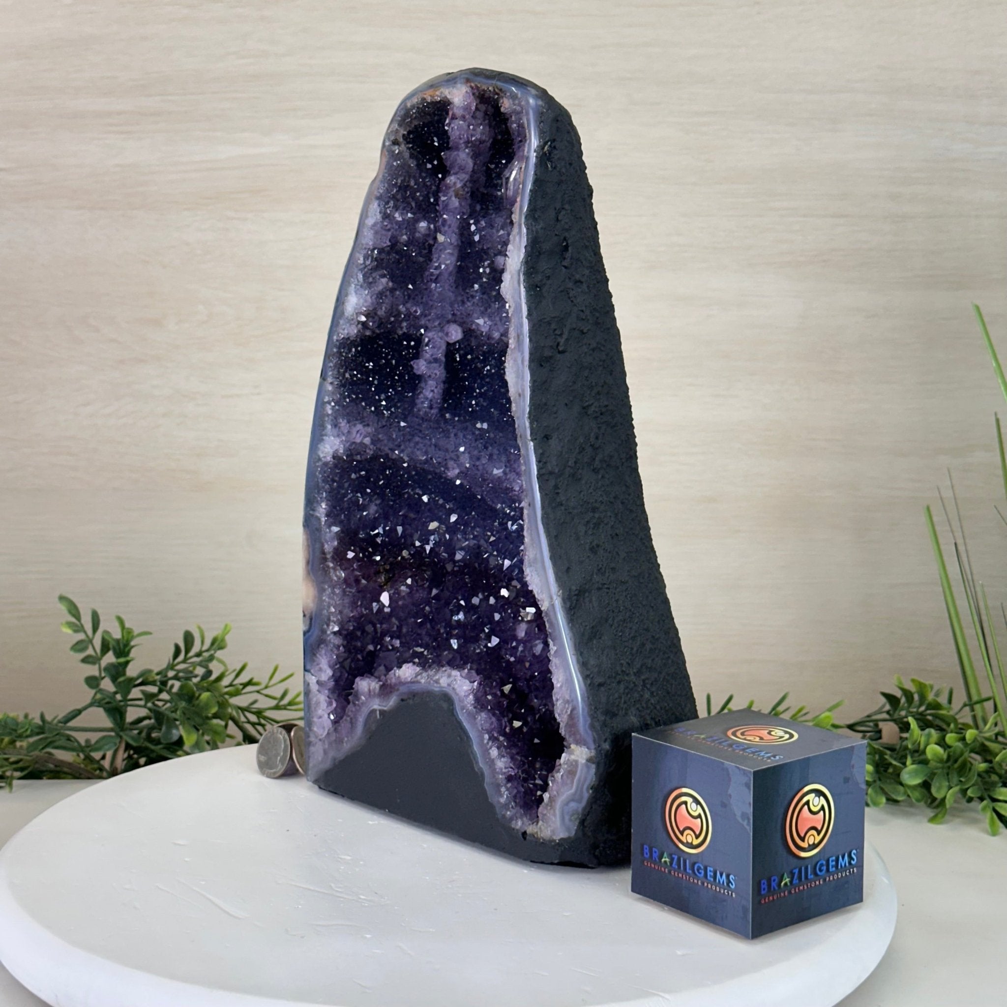 Extra Plus Quality Amethyst Cathedral, 13.7 lbs & 12.8" Tall #5601 - 1443 - Brazil GemsBrazil GemsExtra Plus Quality Amethyst Cathedral, 13.7 lbs & 12.8" Tall #5601 - 1443Cathedrals5601 - 1443