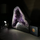 Extra Plus Quality Amethyst Cathedral, 14.1 lbs & 9.1" Tall #5601 - 1444 - Brazil GemsBrazil GemsExtra Plus Quality Amethyst Cathedral, 14.1 lbs & 9.1" Tall #5601 - 1444Cathedrals5601 - 1444