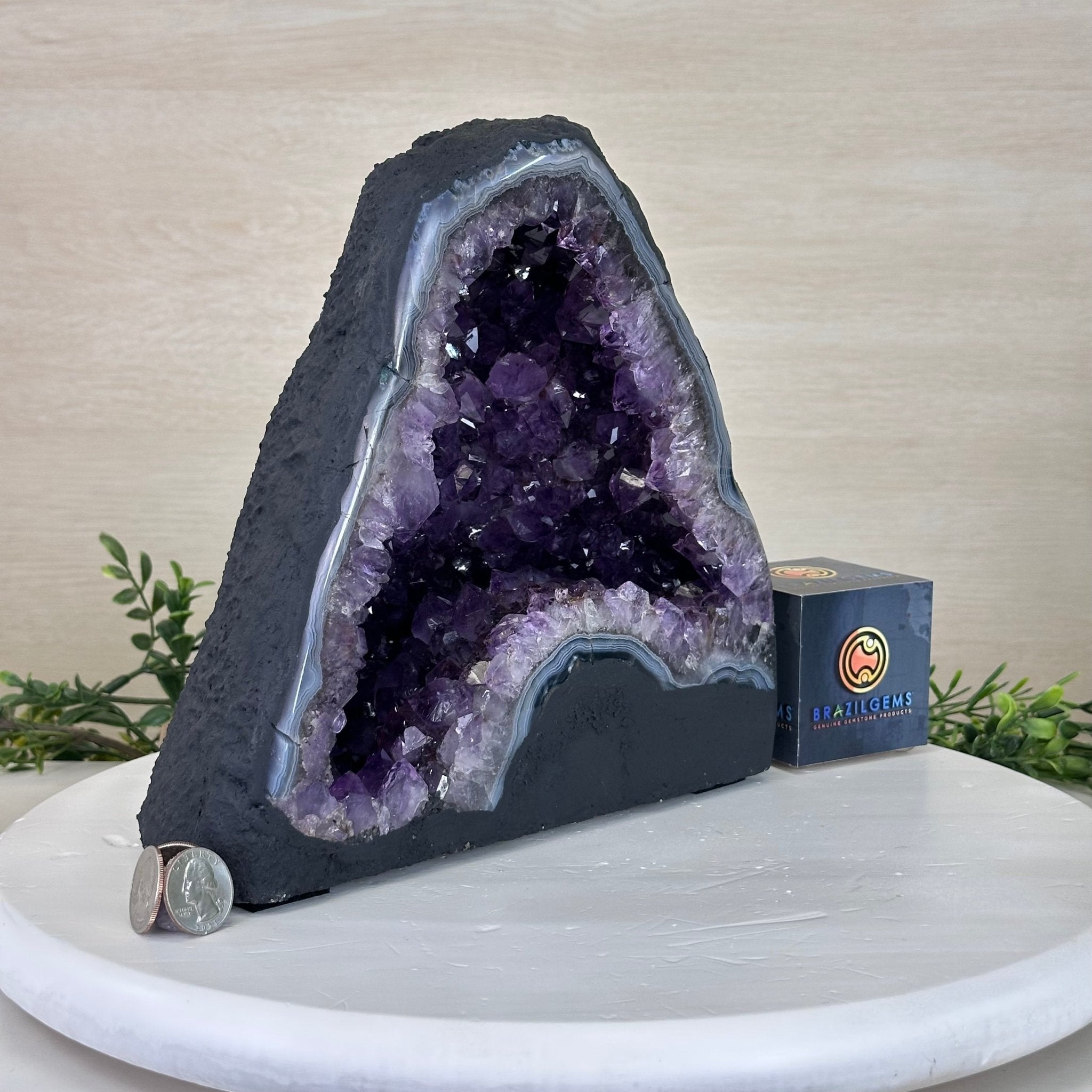 Extra Plus Quality Amethyst Cathedral, 14.1 lbs & 9.1" Tall #5601 - 1444 - Brazil GemsBrazil GemsExtra Plus Quality Amethyst Cathedral, 14.1 lbs & 9.1" Tall #5601 - 1444Cathedrals5601 - 1444