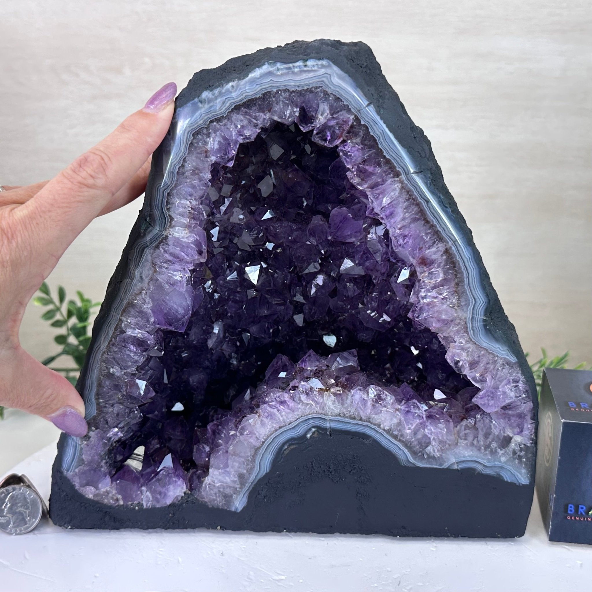 Extra Plus Quality Amethyst Cathedral, 14.1 lbs & 9.1" Tall #5601 - 1444 - Brazil GemsBrazil GemsExtra Plus Quality Amethyst Cathedral, 14.1 lbs & 9.1" Tall #5601 - 1444Cathedrals5601 - 1444