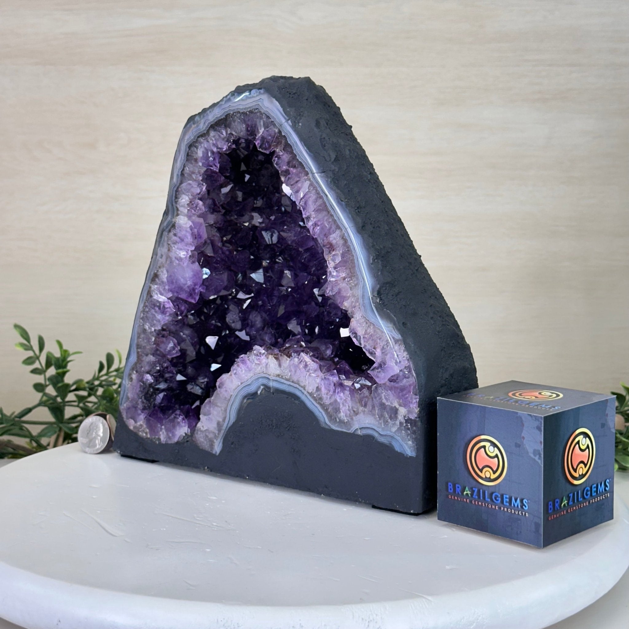 Extra Plus Quality Amethyst Cathedral, 14.1 lbs & 9.1" Tall #5601 - 1444 - Brazil GemsBrazil GemsExtra Plus Quality Amethyst Cathedral, 14.1 lbs & 9.1" Tall #5601 - 1444Cathedrals5601 - 1444