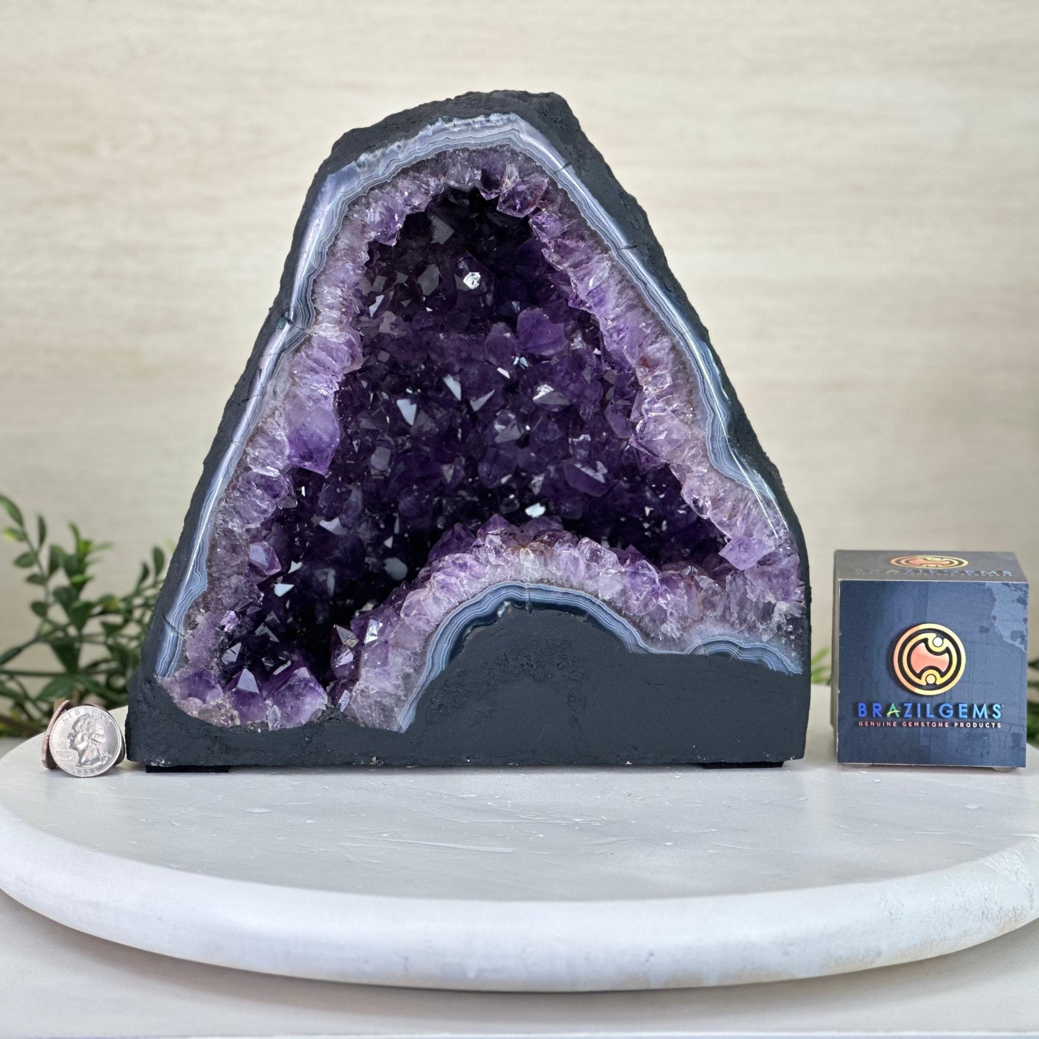 Extra Plus Quality Amethyst Cathedral, 14.1 lbs & 9.1" Tall #5601 - 1444 - Brazil GemsBrazil GemsExtra Plus Quality Amethyst Cathedral, 14.1 lbs & 9.1" Tall #5601 - 1444Cathedrals5601 - 1444