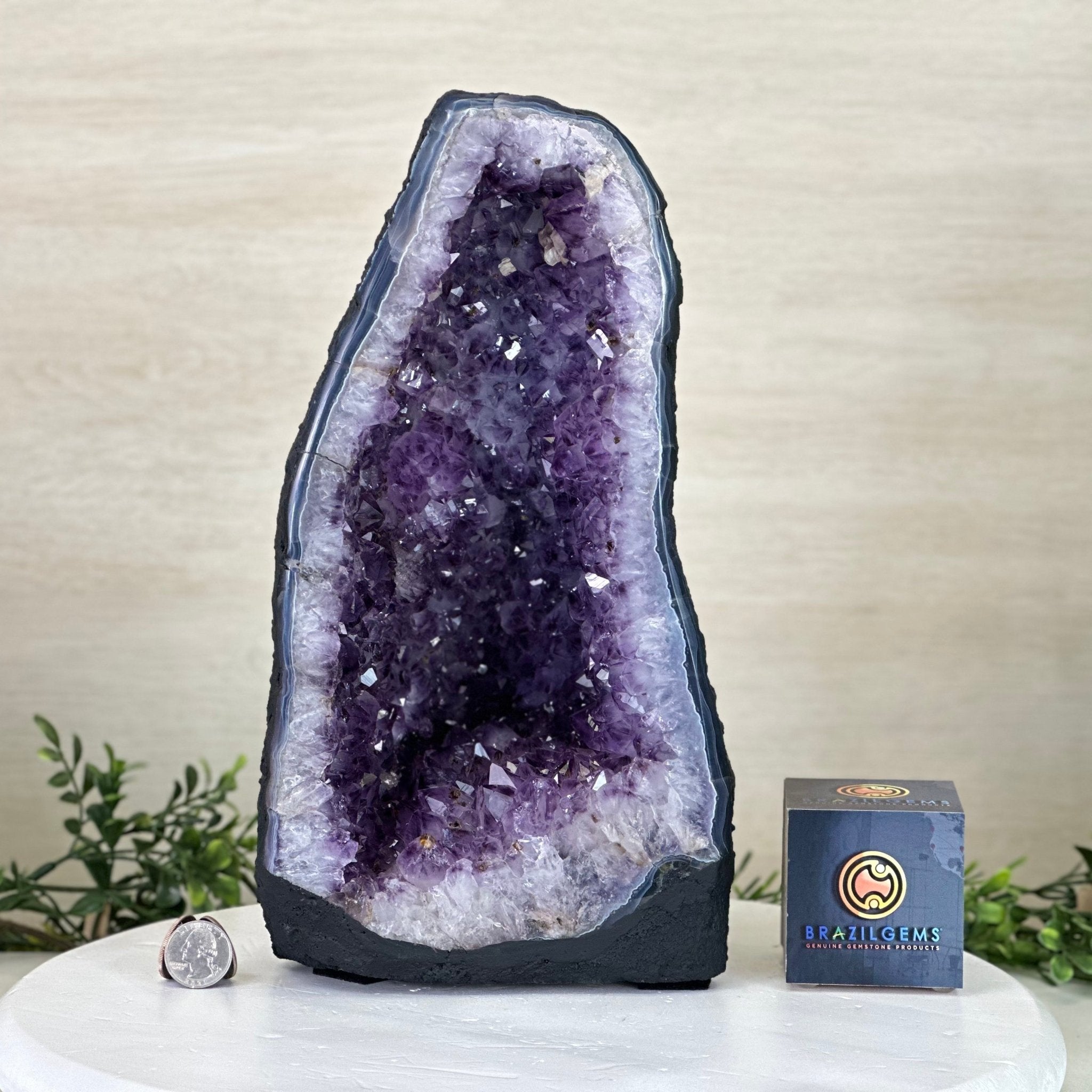 Extra Plus Quality Amethyst Cathedral, 15.1 lbs & 12.7" Tall #5601 - 1445 - Brazil GemsBrazil GemsExtra Plus Quality Amethyst Cathedral, 15.1 lbs & 12.7" Tall #5601 - 1445Cathedrals5601 - 1445