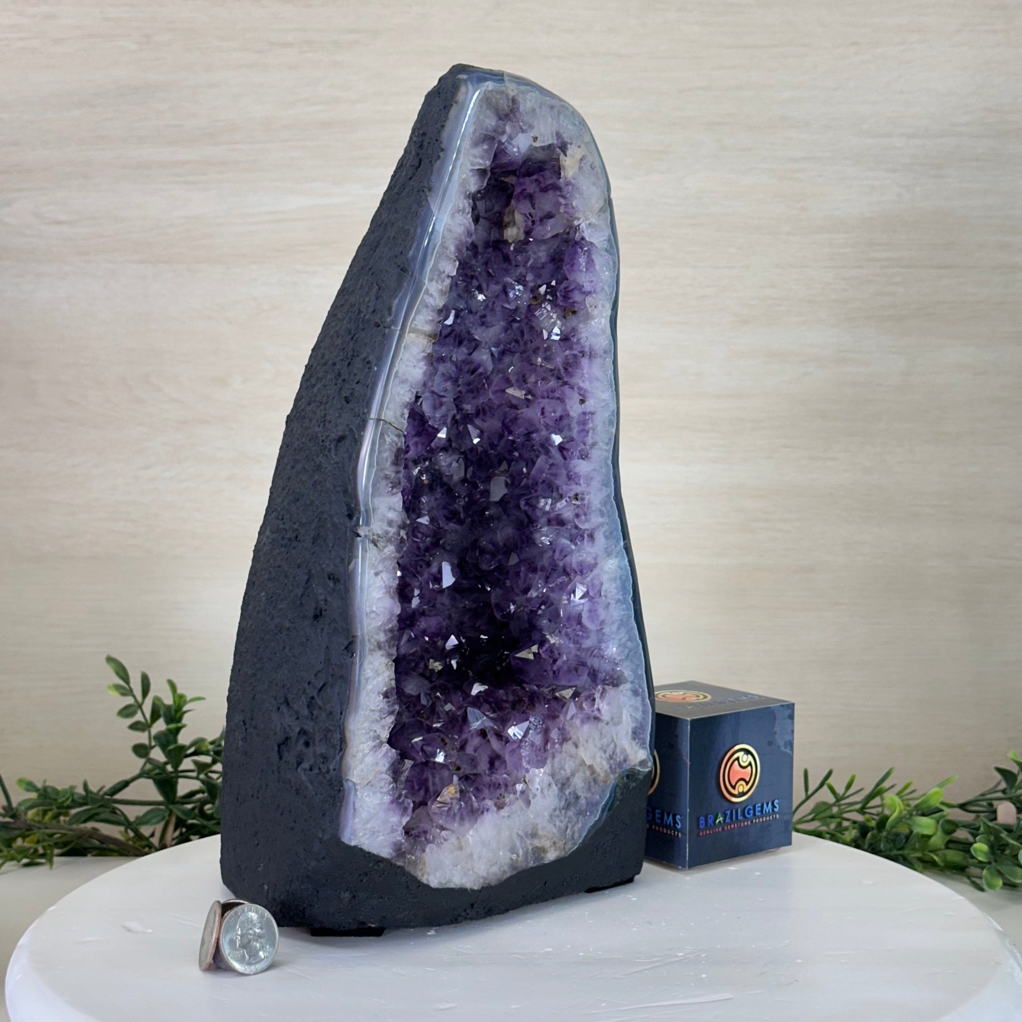 Extra Plus Quality Amethyst Cathedral, 15.1 lbs & 12.7" Tall #5601 - 1445 - Brazil GemsBrazil GemsExtra Plus Quality Amethyst Cathedral, 15.1 lbs & 12.7" Tall #5601 - 1445Cathedrals5601 - 1445