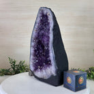 Extra Plus Quality Amethyst Cathedral, 15.1 lbs & 12.7" Tall #5601 - 1445 - Brazil GemsBrazil GemsExtra Plus Quality Amethyst Cathedral, 15.1 lbs & 12.7" Tall #5601 - 1445Cathedrals5601 - 1445