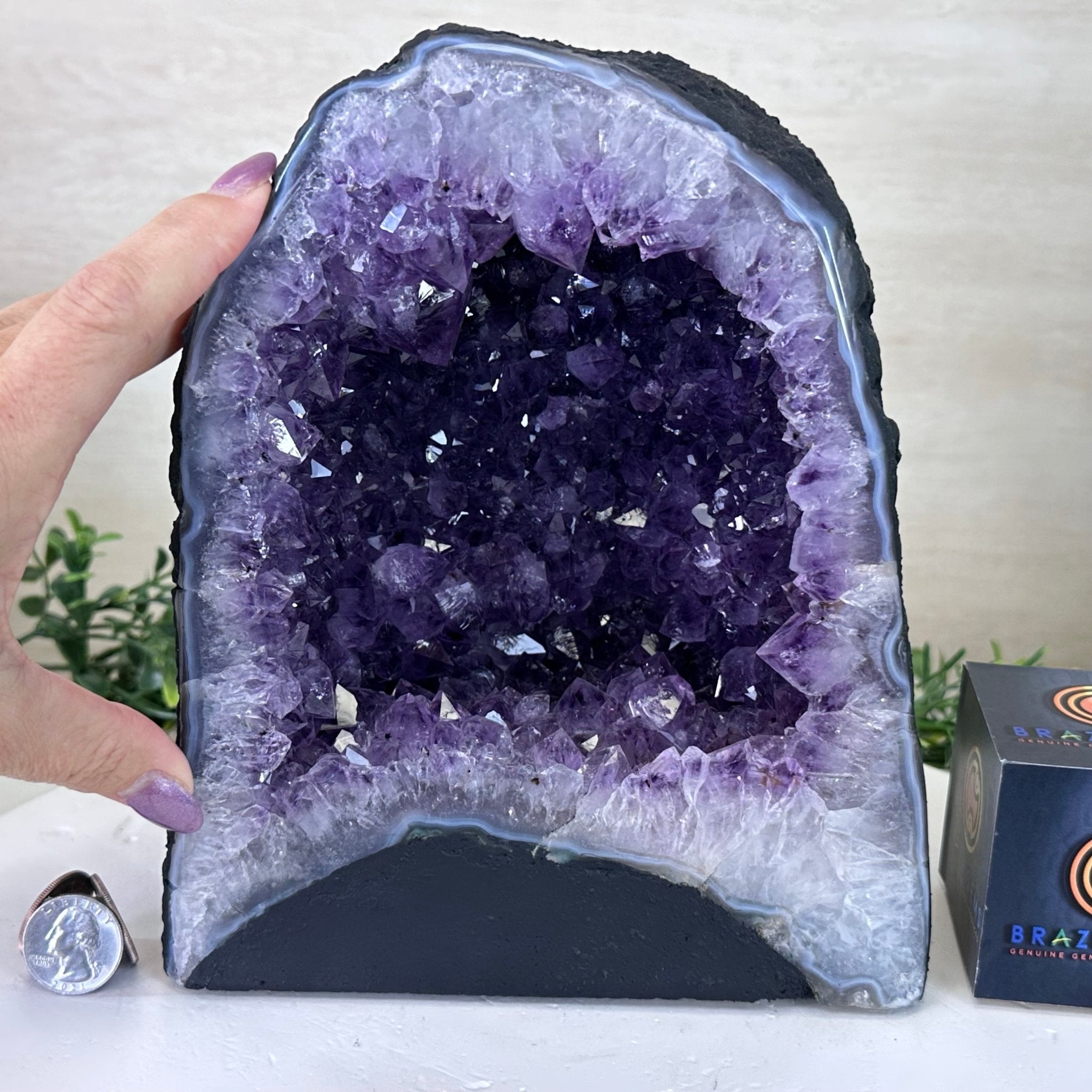 Extra Plus Quality Amethyst Cathedral, 15.5 lbs & 9" Tall #5601 - 1446 - Brazil GemsBrazil GemsExtra Plus Quality Amethyst Cathedral, 15.5 lbs & 9" Tall #5601 - 1446Cathedrals5601 - 1446