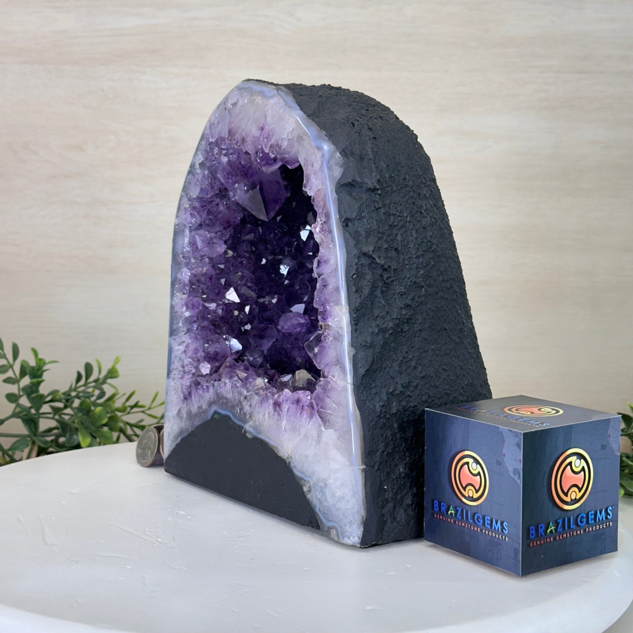 Extra Plus Quality Amethyst Cathedral, 15.5 lbs & 9" Tall #5601 - 1446 - Brazil GemsBrazil GemsExtra Plus Quality Amethyst Cathedral, 15.5 lbs & 9" Tall #5601 - 1446Cathedrals5601 - 1446