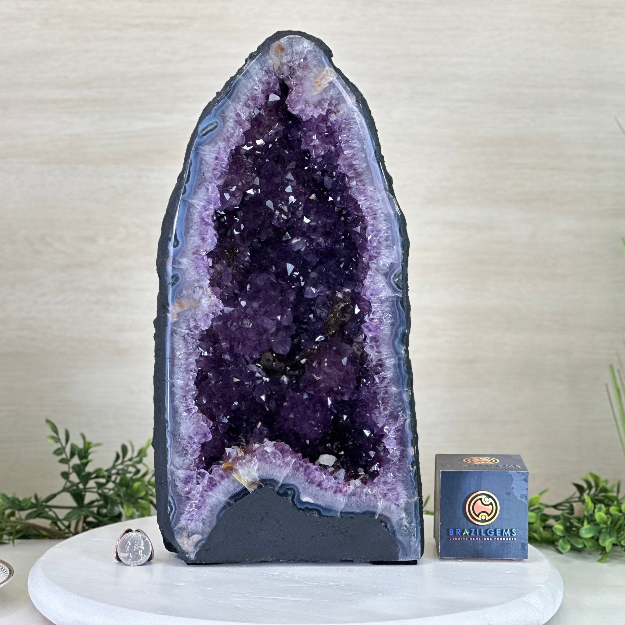 Extra Plus Quality Amethyst Cathedral, 23.1 lbs & 15" Tall #5601 - 1451 - Brazil GemsBrazil GemsExtra Plus Quality Amethyst Cathedral, 23.1 lbs & 15" Tall #5601 - 1451Cathedrals5601 - 1451