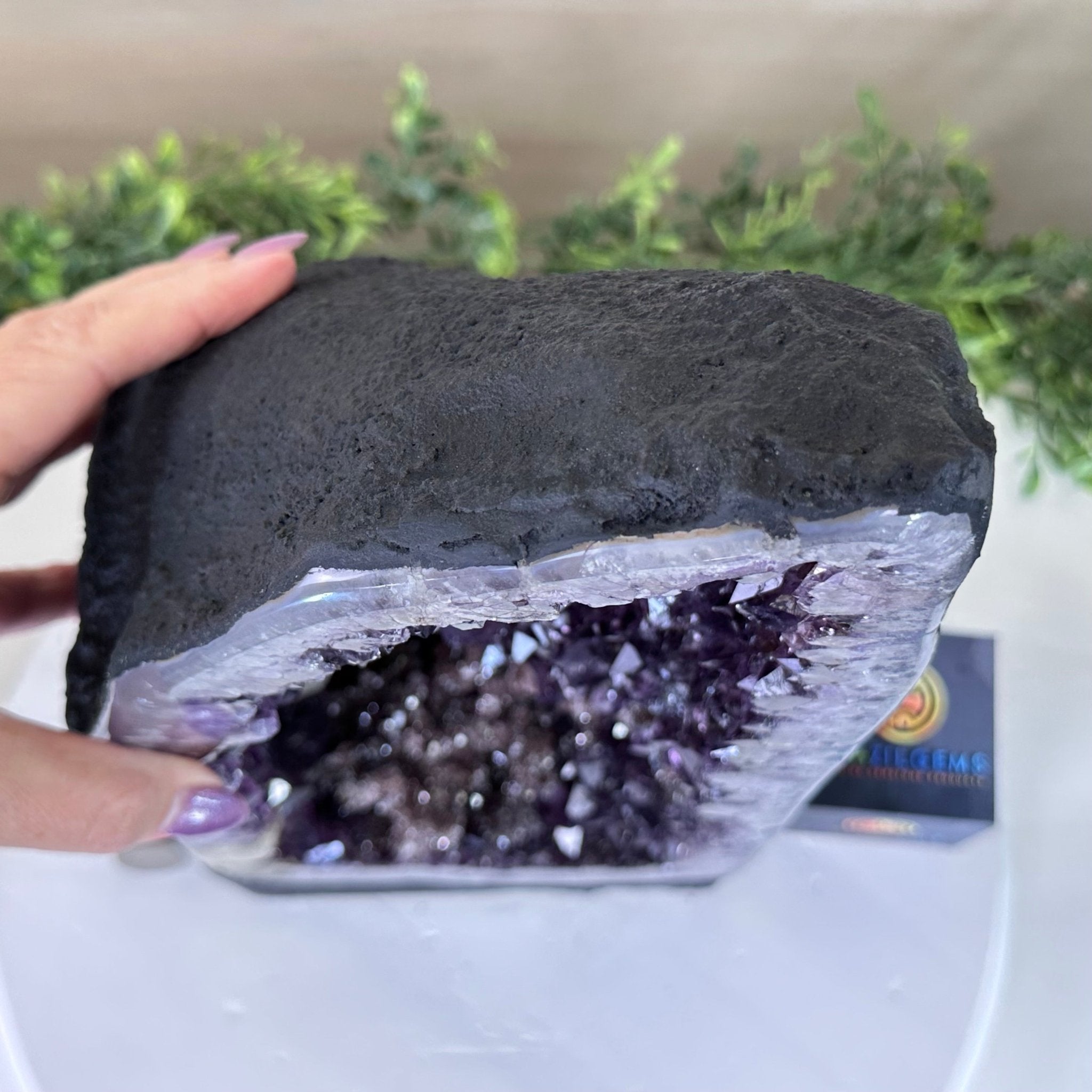 Extra Plus Quality Amethyst Cathedral, 26.3 lbs & 15.5" Tall #5601 - 1454 - Brazil GemsBrazil GemsExtra Plus Quality Amethyst Cathedral, 26.3 lbs & 15.5" Tall #5601 - 1454Cathedrals5601 - 1454