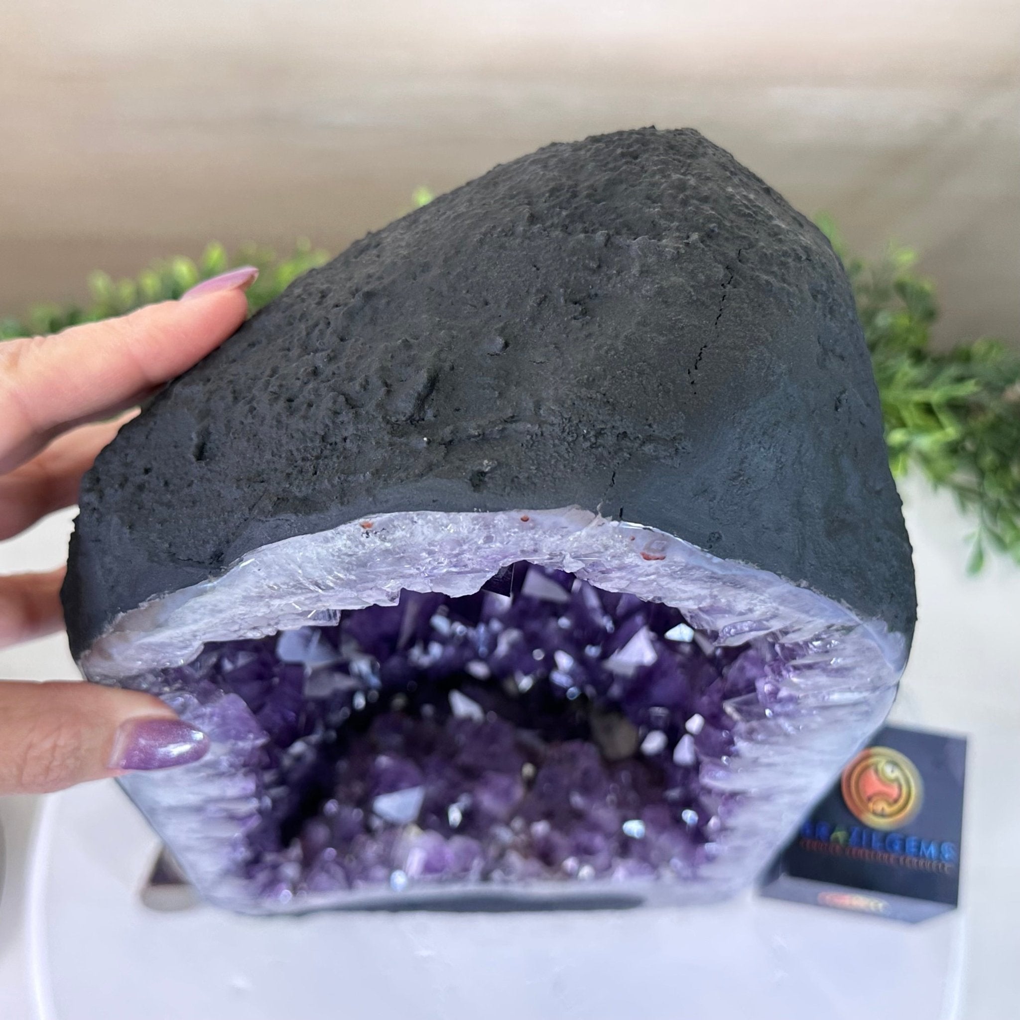 Extra Plus Quality Amethyst Cathedral, 27.1 lbs & 15.6" Tall #5601 - 1455 - Brazil GemsBrazil GemsExtra Plus Quality Amethyst Cathedral, 27.1 lbs & 15.6" Tall #5601 - 1455Cathedrals5601 - 1455