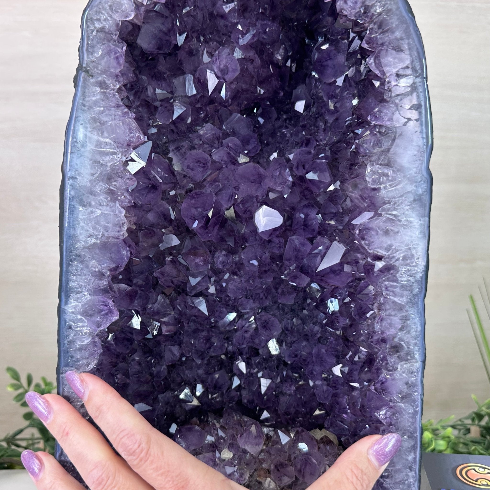 Extra Plus Quality Amethyst Cathedral, 27.1 lbs & 15.6" Tall #5601 - 1455 - Brazil GemsBrazil GemsExtra Plus Quality Amethyst Cathedral, 27.1 lbs & 15.6" Tall #5601 - 1455Cathedrals5601 - 1455