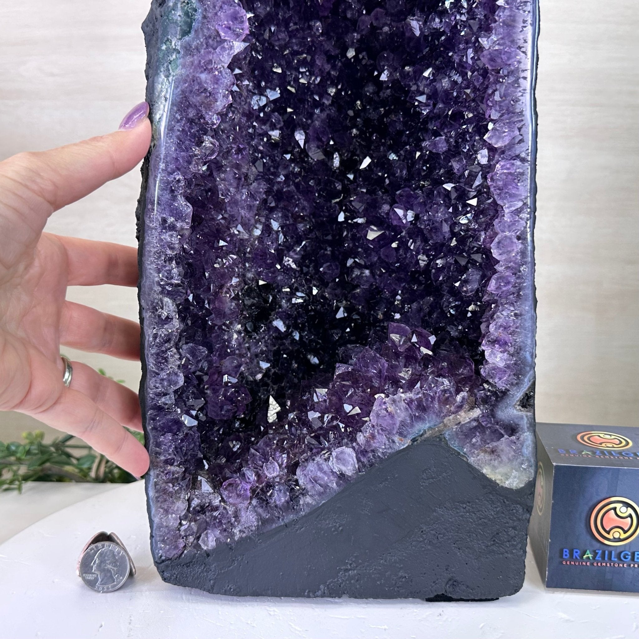 Extra Plus Quality Amethyst Cathedral, 29.6 lbs & 25.4" Tall #5601 - 1457 - Brazil GemsBrazil GemsExtra Plus Quality Amethyst Cathedral, 29.6 lbs & 25.4" Tall #5601 - 1457Cathedrals5601 - 1457