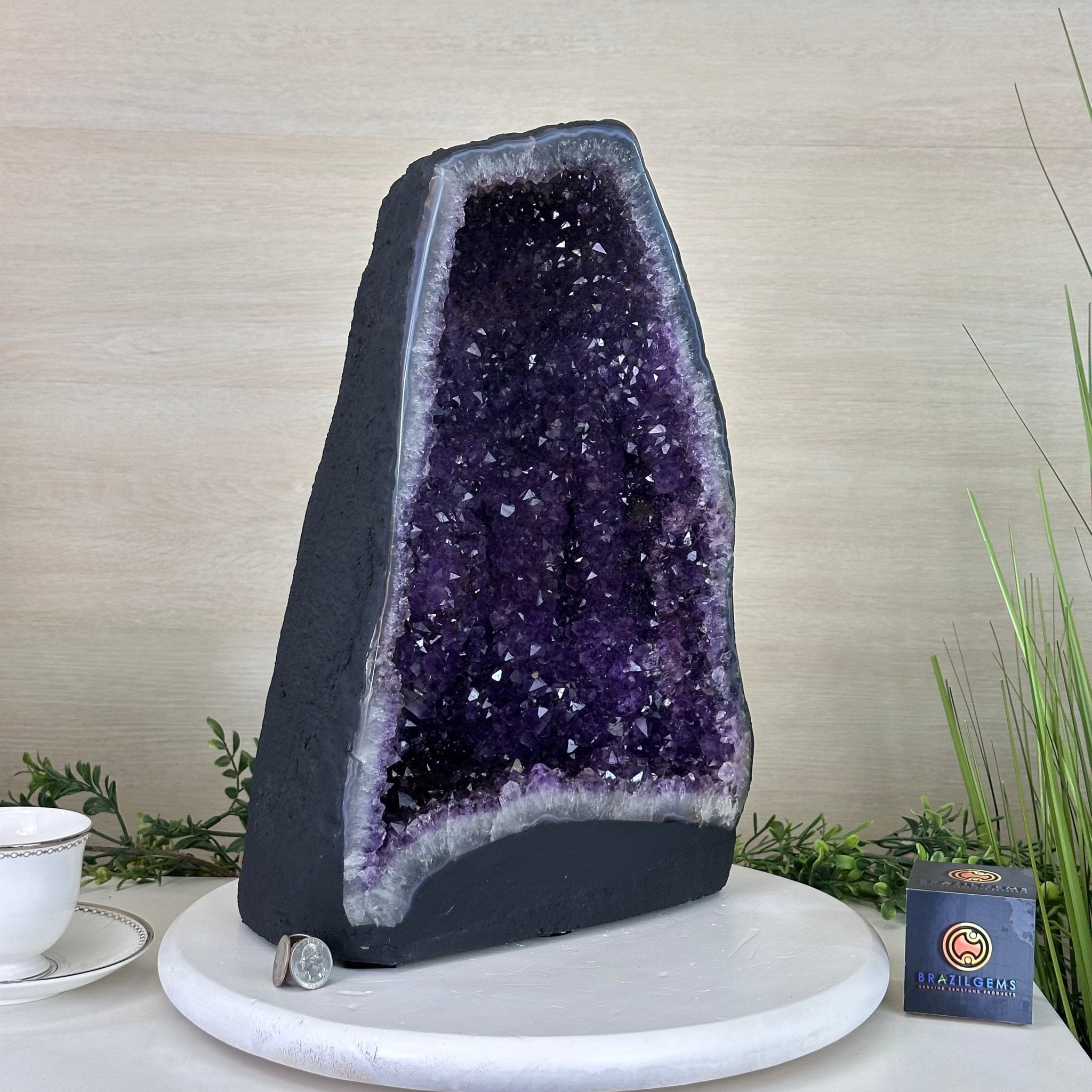 Extra Plus Quality Amethyst Cathedral, 36.6 lbs & 16.5" Tall #5601 - 1463 - Brazil GemsBrazil GemsExtra Plus Quality Amethyst Cathedral, 36.6 lbs & 16.5" Tall #5601 - 1463Cathedrals5601 - 1463