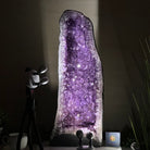 Extra Plus Quality Amethyst Cathedral, 44.5 lbs & 24.1" Tall #5601 - 1465 - Brazil GemsBrazil GemsExtra Plus Quality Amethyst Cathedral, 44.5 lbs & 24.1" Tall #5601 - 1465Cathedrals5601 - 1465