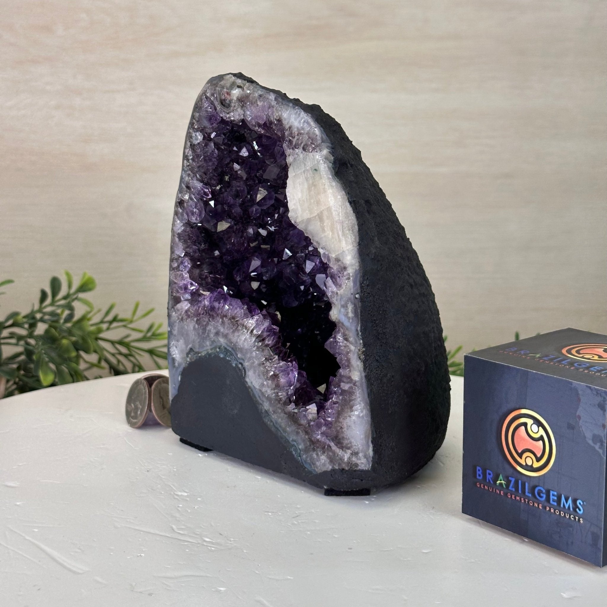 Extra Plus Quality Amethyst Cathedral, 4.5 lbs & 6.7" Tall #5601 - 1418 - Brazil GemsBrazil GemsExtra Plus Quality Amethyst Cathedral, 4.5 lbs & 6.7" Tall #5601 - 1418Cathedrals5601 - 1418