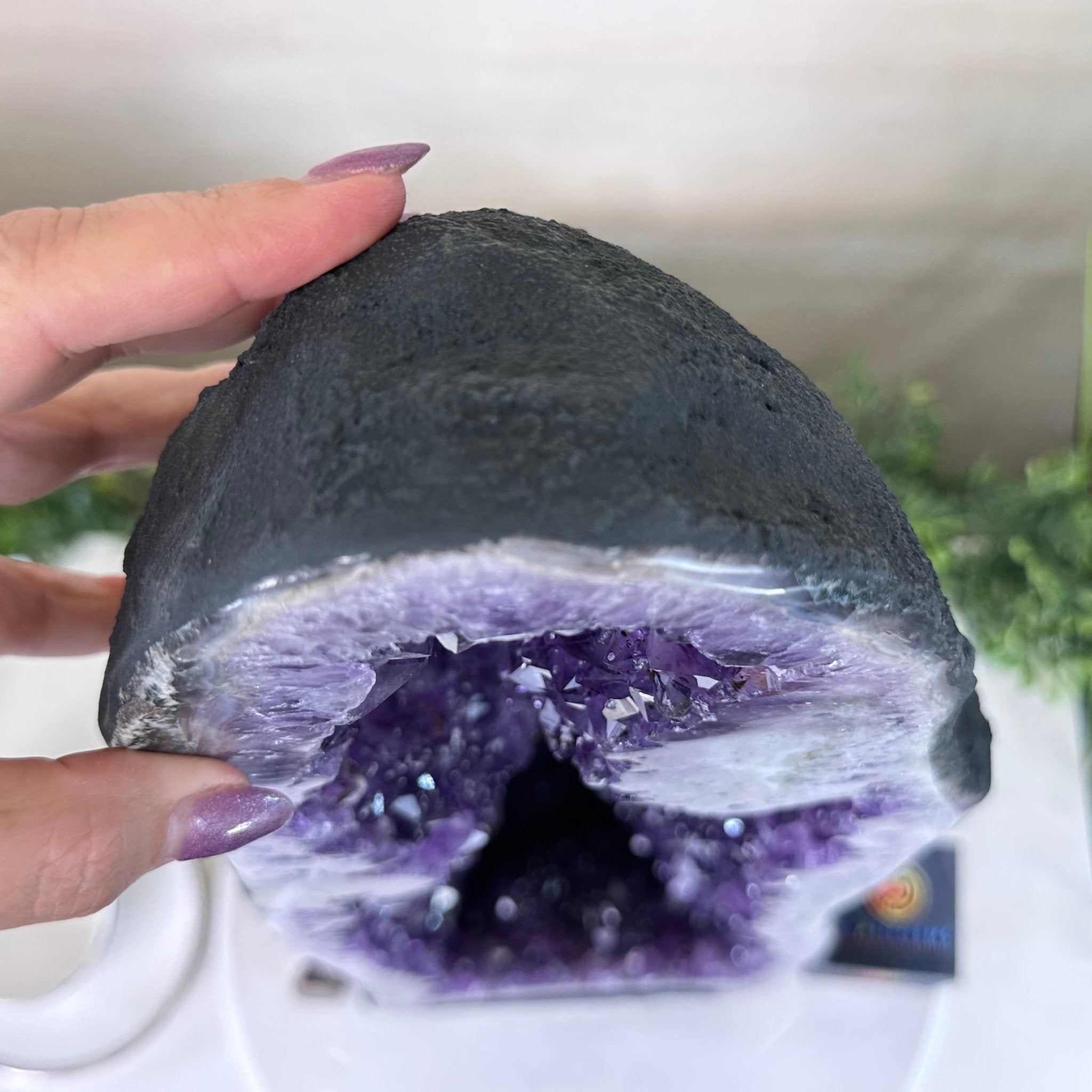 Extra Plus Quality Amethyst Cathedral, 49.2 lbs & 25.1" Tall #5601 - 1466 - Brazil GemsBrazil GemsExtra Plus Quality Amethyst Cathedral, 49.2 lbs & 25.1" Tall #5601 - 1466Cathedrals5601 - 1466