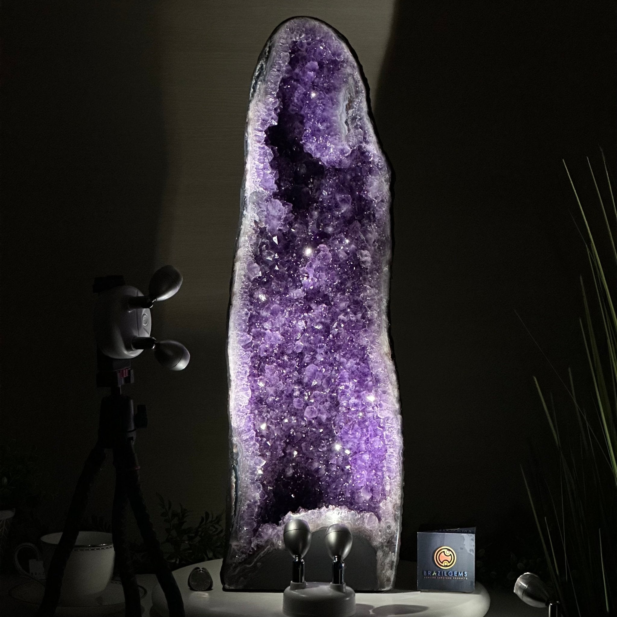 Extra Plus Quality Amethyst Cathedral, 49.2 lbs & 25.1" Tall #5601 - 1466 - Brazil GemsBrazil GemsExtra Plus Quality Amethyst Cathedral, 49.2 lbs & 25.1" Tall #5601 - 1466Cathedrals5601 - 1466