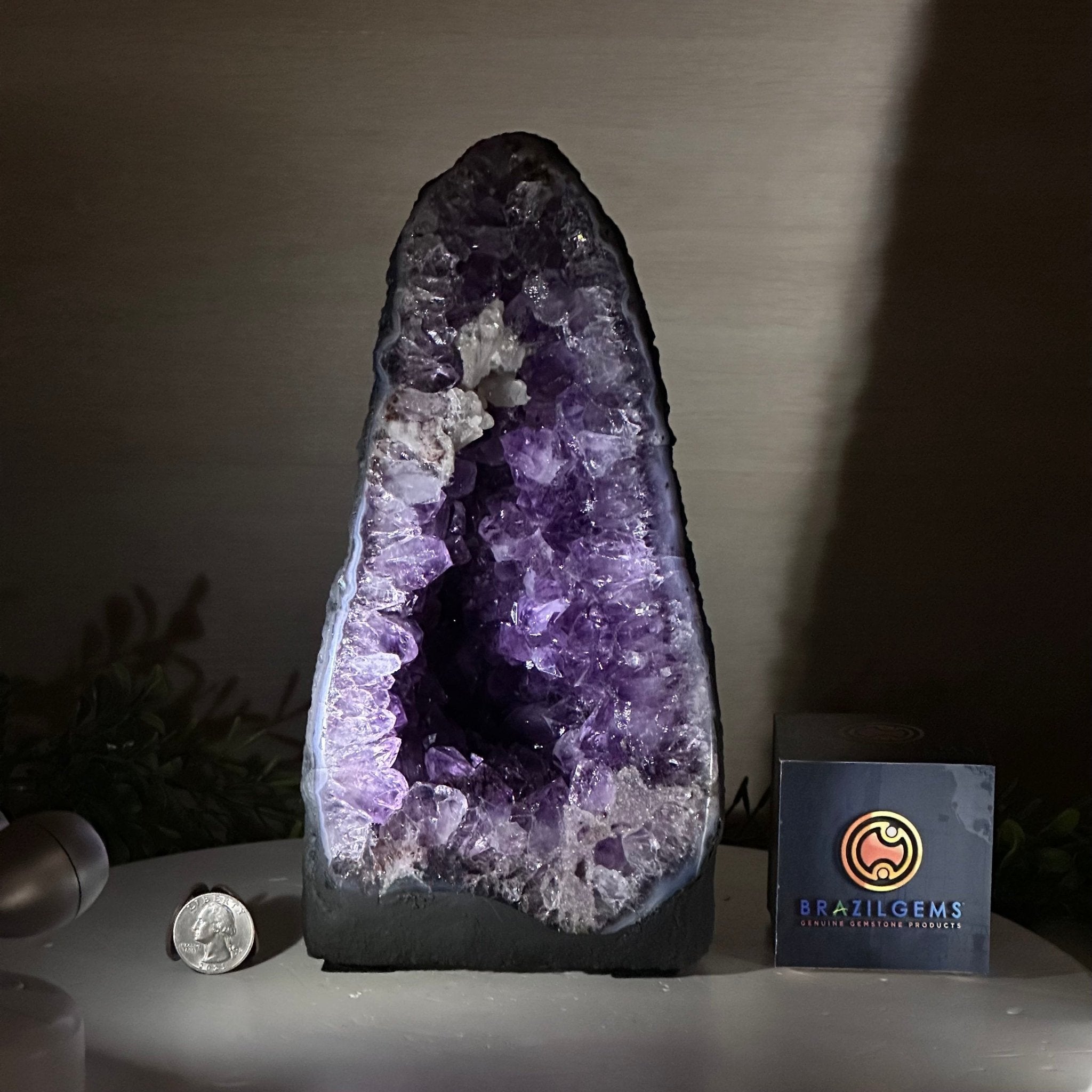 Extra Plus Quality Amethyst Cathedral, 5.8 lbs & 9.9" Tall #5601 - 1422 - Brazil GemsBrazil GemsExtra Plus Quality Amethyst Cathedral, 5.8 lbs & 9.9" Tall #5601 - 1422Cathedrals5601 - 1422