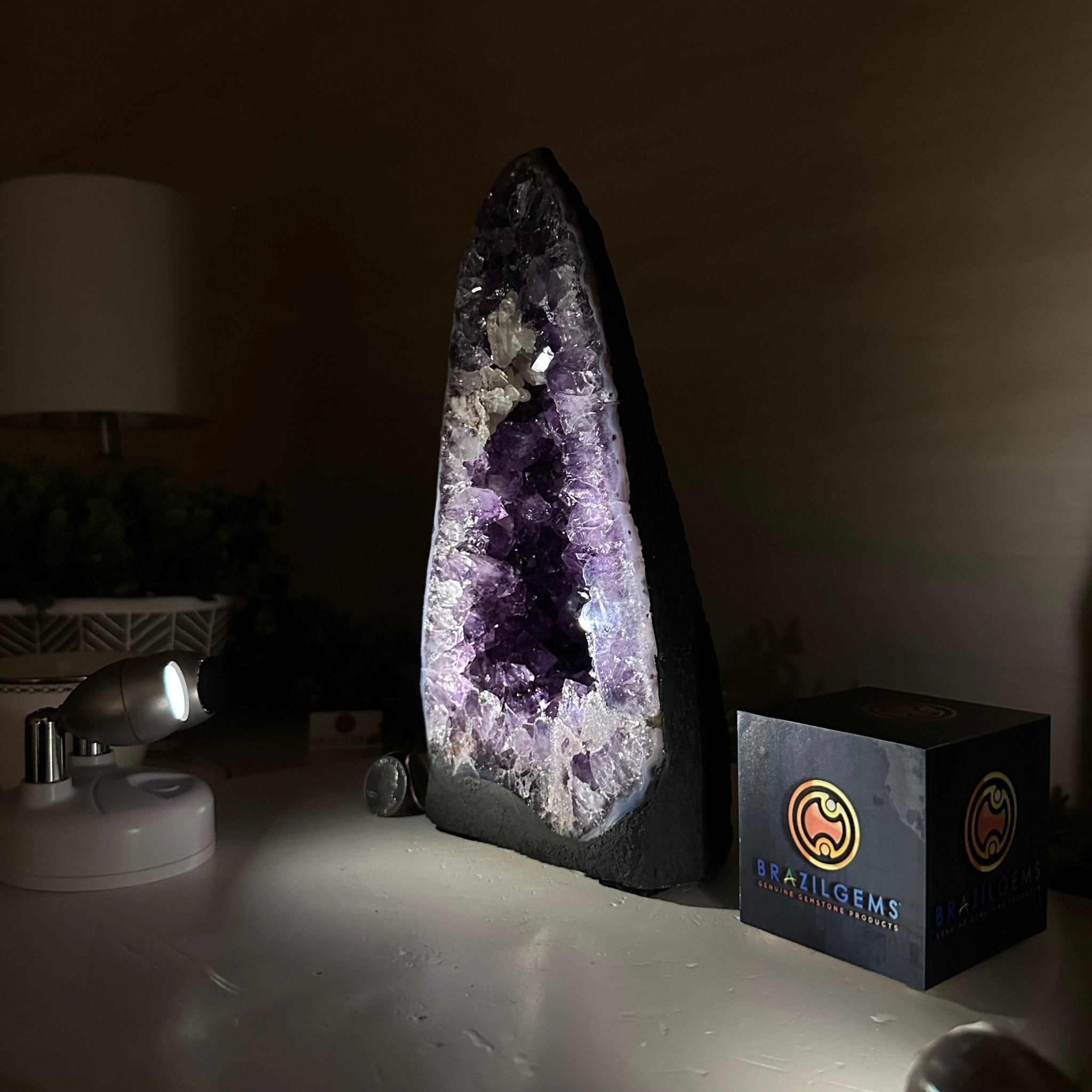 Extra Plus Quality Amethyst Cathedral, 5.8 lbs & 9.9" Tall #5601 - 1422 - Brazil GemsBrazil GemsExtra Plus Quality Amethyst Cathedral, 5.8 lbs & 9.9" Tall #5601 - 1422Cathedrals5601 - 1422