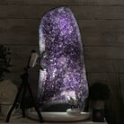 Extra Plus Quality Amethyst Cathedral, 60.6 lbs & 22.7" Tall #5601 - 1414 - Brazil GemsBrazil GemsExtra Plus Quality Amethyst Cathedral, 60.6 lbs & 22.7" Tall #5601 - 1414Cathedrals5601 - 1414