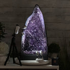 Extra Plus Quality Amethyst Cathedral, 61.5 lbs & 21.3" Tall #5601 - 1321 - Brazil GemsBrazil GemsExtra Plus Quality Amethyst Cathedral, 61.5 lbs & 21.3" Tall #5601 - 1321Cathedrals5601 - 1321