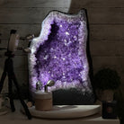 Extra Plus Quality Amethyst Cathedral, 61.8 lbs & 16.9" Tall #5601 - 1323 - Brazil GemsBrazil GemsExtra Plus Quality Amethyst Cathedral, 61.8 lbs & 16.9" Tall #5601 - 1323Cathedrals5601 - 1323