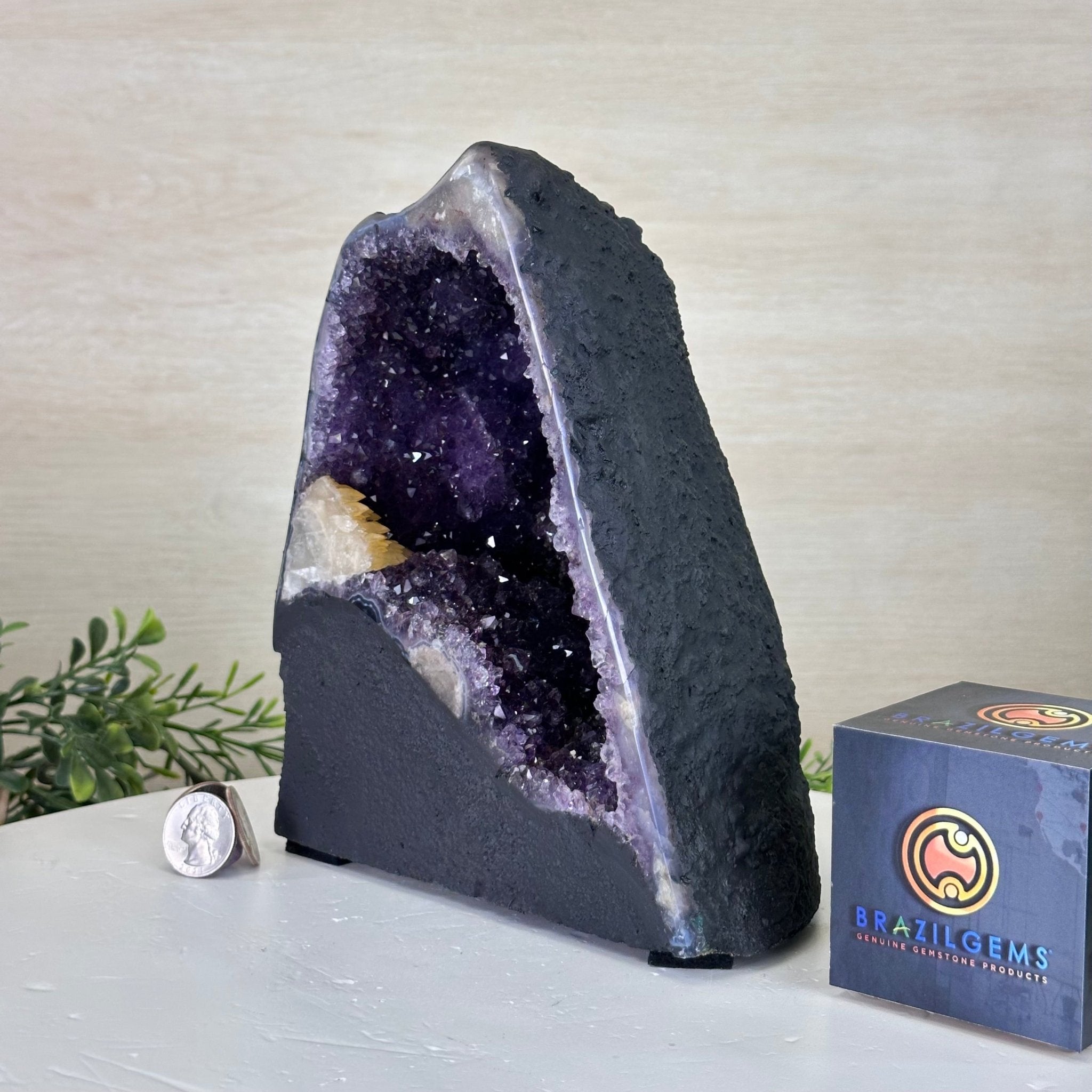 Extra Plus Quality Amethyst Cathedral, 6.2 lbs & 8.1" Tall #5601 - 1423 - Brazil GemsBrazil GemsExtra Plus Quality Amethyst Cathedral, 6.2 lbs & 8.1" Tall #5601 - 1423Cathedrals5601 - 1423