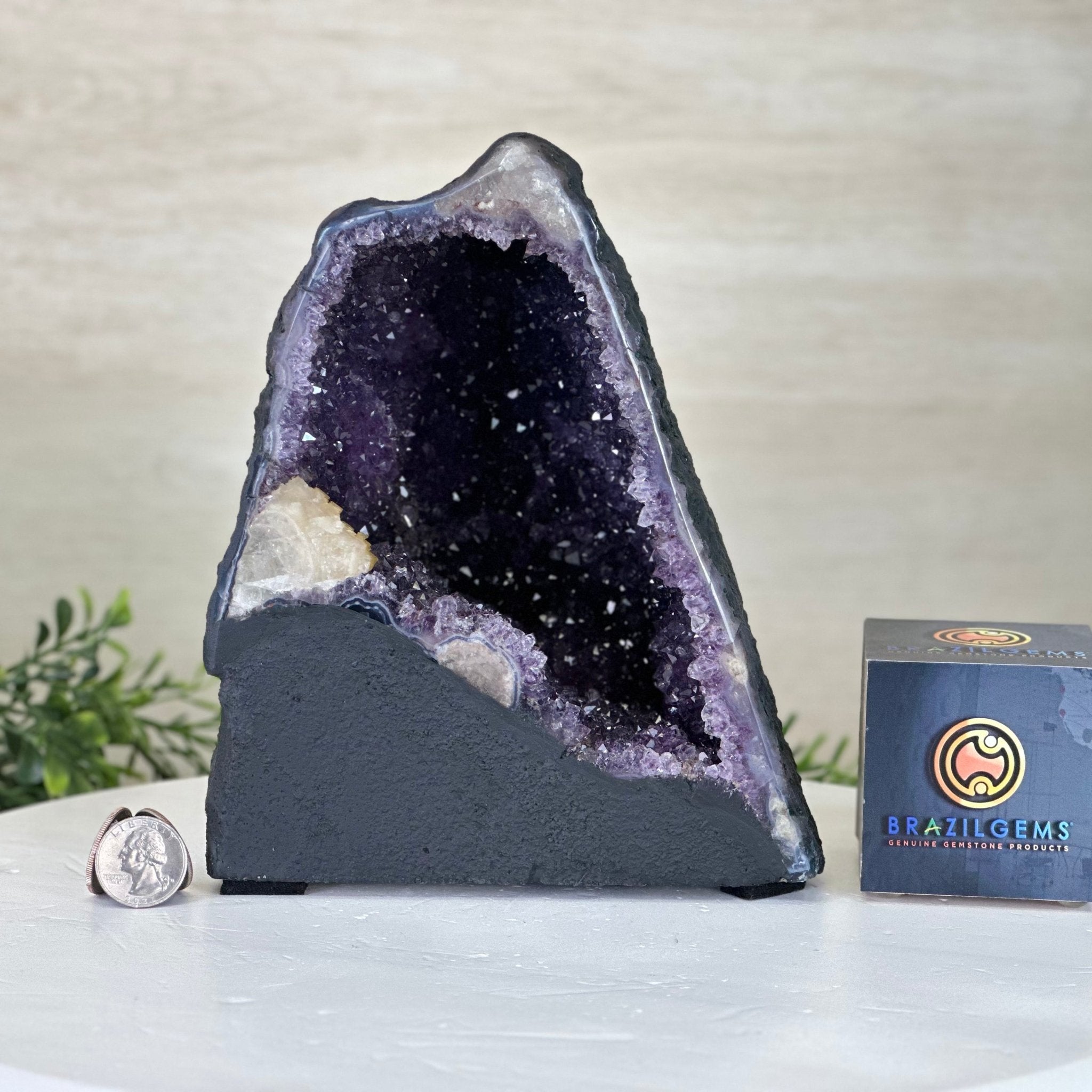 Extra Plus Quality Amethyst Cathedral, 6.2 lbs & 8.1" Tall #5601 - 1423 - Brazil GemsBrazil GemsExtra Plus Quality Amethyst Cathedral, 6.2 lbs & 8.1" Tall #5601 - 1423Cathedrals5601 - 1423