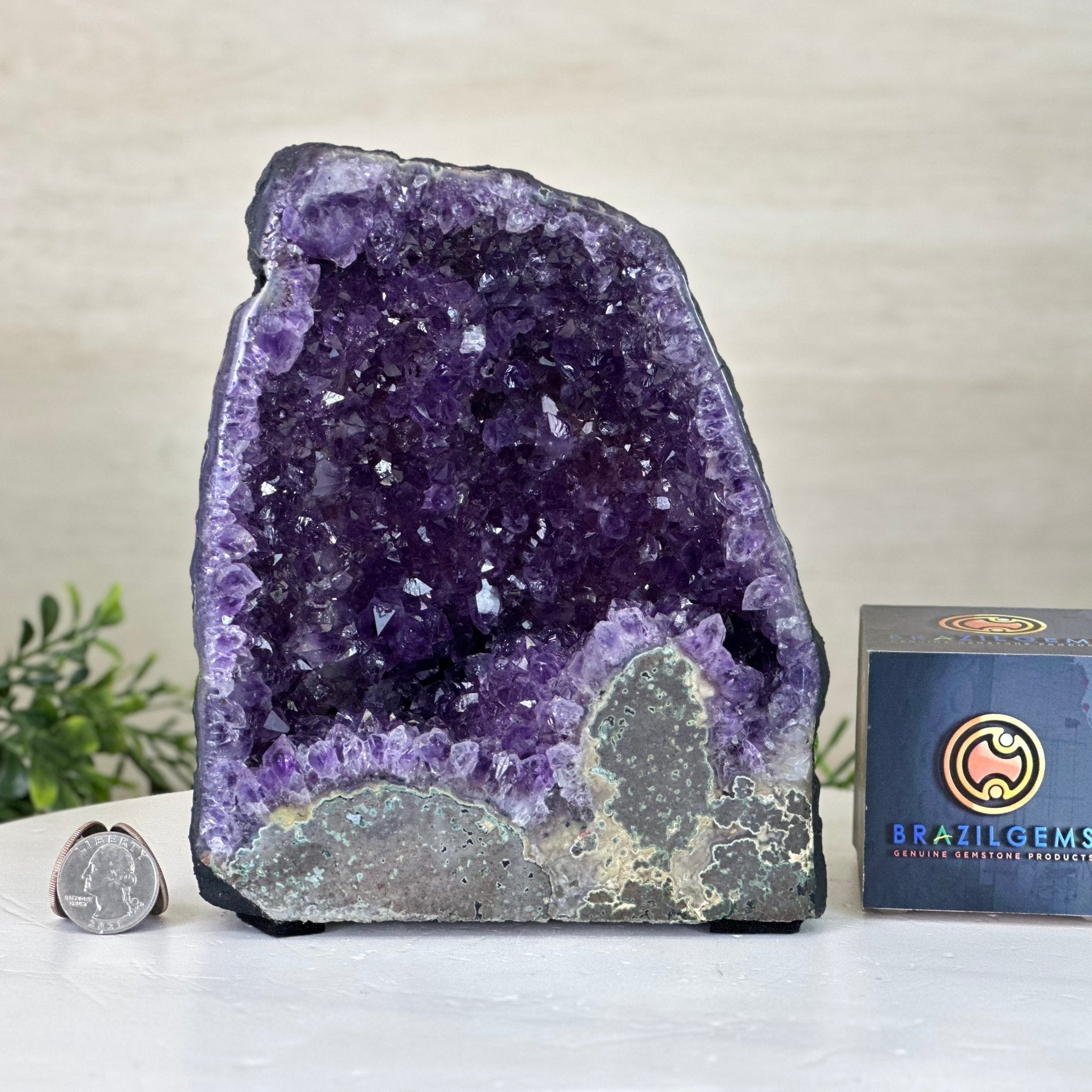 Extra Plus Quality Amethyst Cathedral, 6.4 lbs & 7.4" Tall #5601 - 1424 - Brazil GemsBrazil GemsExtra Plus Quality Amethyst Cathedral, 6.4 lbs & 7.4" Tall #5601 - 1424Cathedrals5601 - 1424