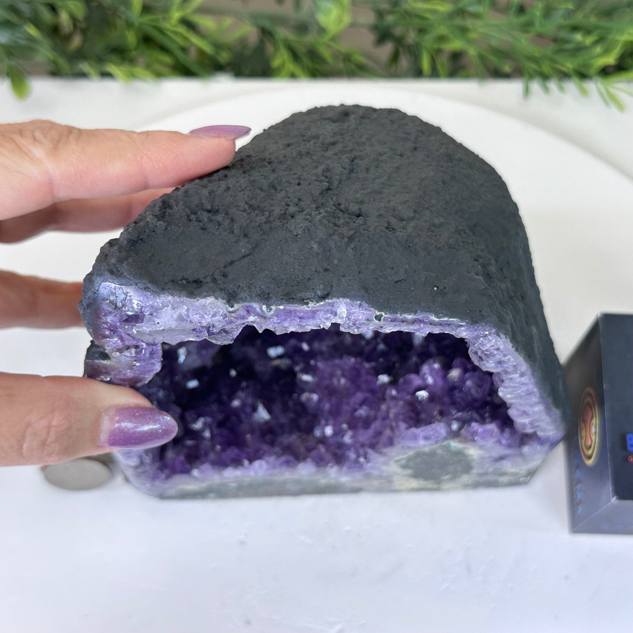 Extra Plus Quality Amethyst Cathedral, 6.4 lbs & 7.4" Tall #5601 - 1424 - Brazil GemsBrazil GemsExtra Plus Quality Amethyst Cathedral, 6.4 lbs & 7.4" Tall #5601 - 1424Cathedrals5601 - 1424