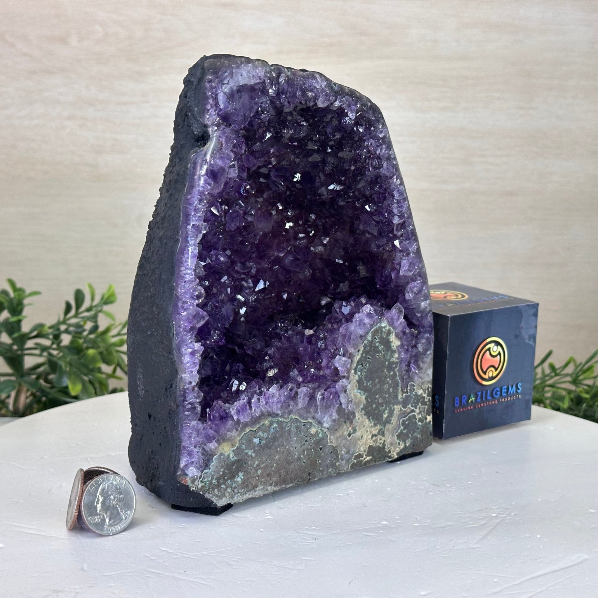 Extra Plus Quality Amethyst Cathedral, 6.4 lbs & 7.4" Tall #5601 - 1424 - Brazil GemsBrazil GemsExtra Plus Quality Amethyst Cathedral, 6.4 lbs & 7.4" Tall #5601 - 1424Cathedrals5601 - 1424