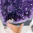 Extra Plus Quality Amethyst Cathedral, 66.7 lbs & 16.5" Tall #5601 - 1324 - Brazil GemsBrazil GemsExtra Plus Quality Amethyst Cathedral, 66.7 lbs & 16.5" Tall #5601 - 1324Cathedrals5601 - 1324