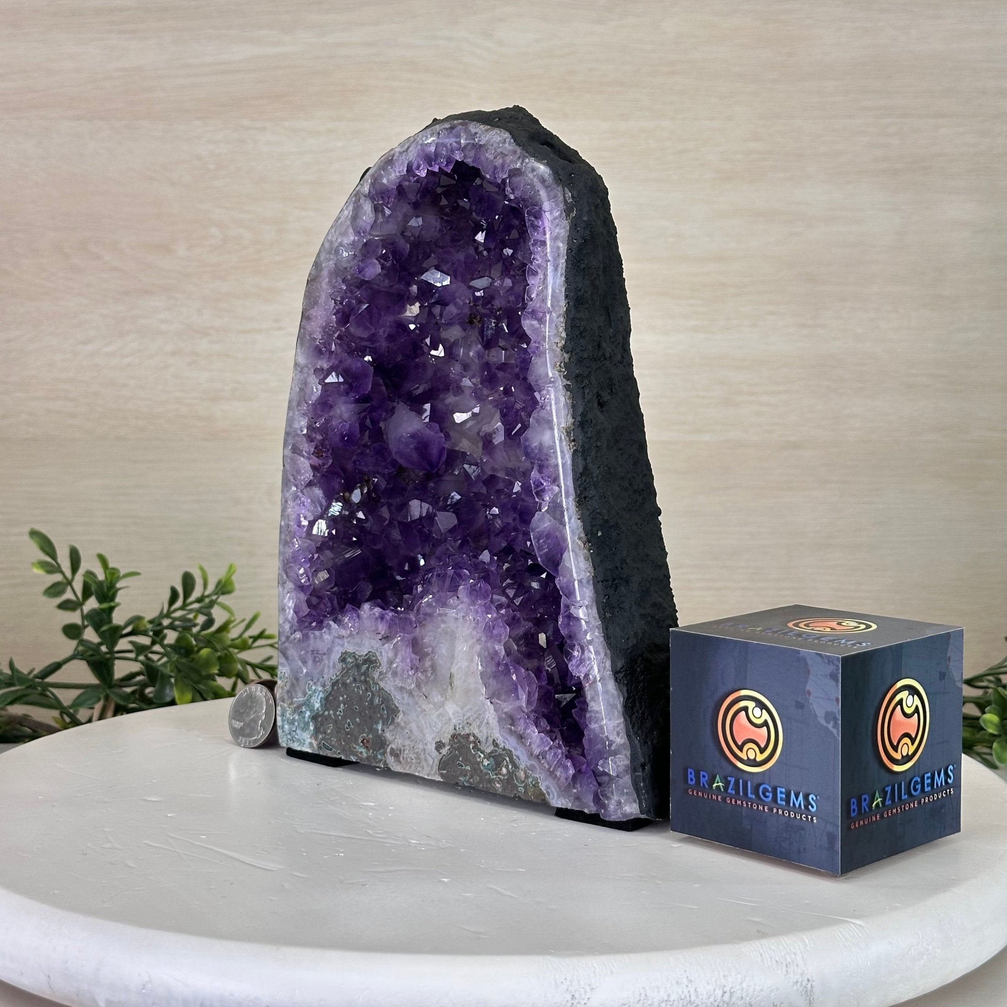 Extra Plus Quality Amethyst Cathedral, 7.3 lbs & 9.2" Tall #5601 - 1429 - Brazil GemsBrazil GemsExtra Plus Quality Amethyst Cathedral, 7.3 lbs & 9.2" Tall #5601 - 1429Cathedrals5601 - 1429