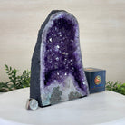 Extra Plus Quality Amethyst Cathedral, 7.3 lbs & 9.2" Tall #5601 - 1429 - Brazil GemsBrazil GemsExtra Plus Quality Amethyst Cathedral, 7.3 lbs & 9.2" Tall #5601 - 1429Cathedrals5601 - 1429