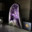 Extra Plus Quality Amethyst Cathedral, 7.3 lbs & 9.2" Tall #5601 - 1429 - Brazil GemsBrazil GemsExtra Plus Quality Amethyst Cathedral, 7.3 lbs & 9.2" Tall #5601 - 1429Cathedrals5601 - 1429