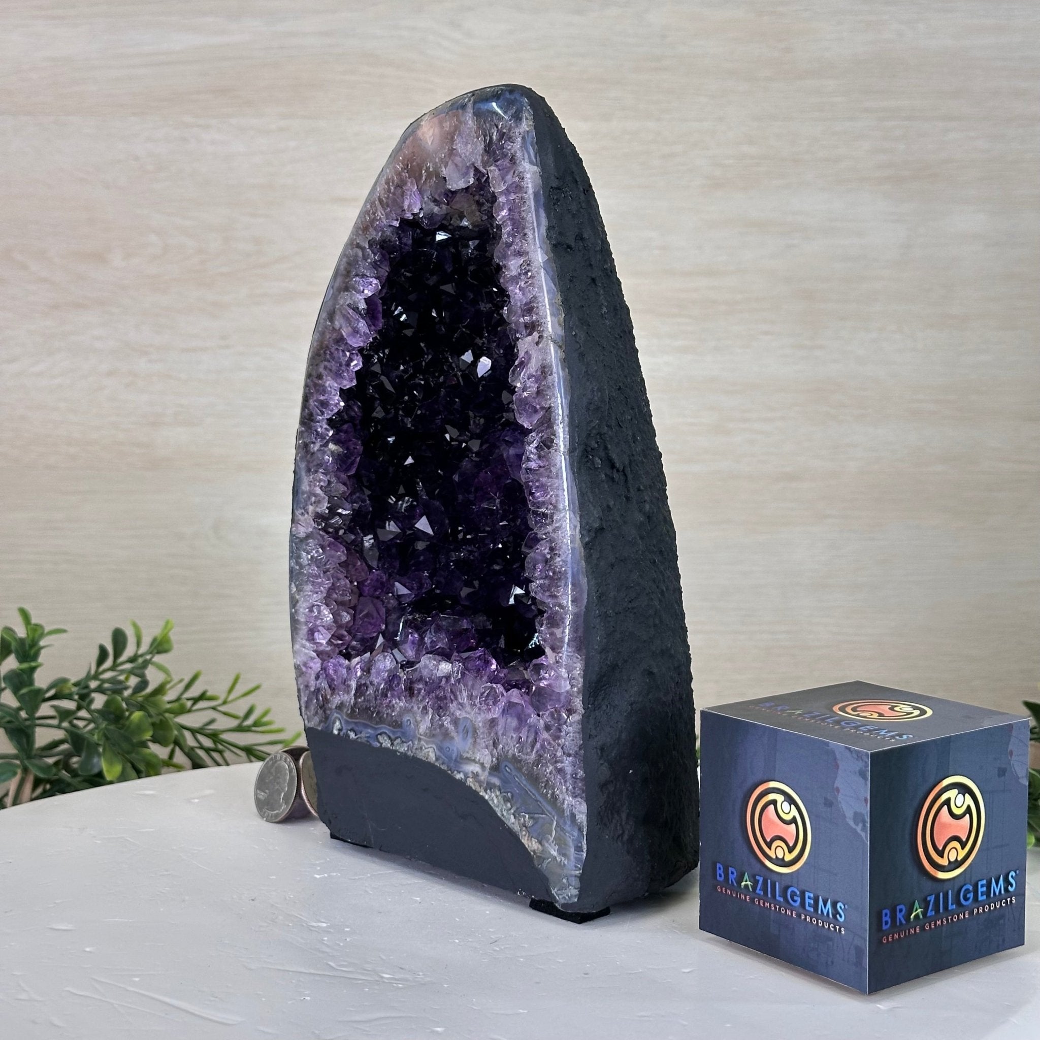 Extra Plus Quality Amethyst Cathedral, 7.8 lbs & 9.6" Tall #5601 - 1432 - Brazil GemsBrazil GemsExtra Plus Quality Amethyst Cathedral, 7.8 lbs & 9.6" Tall #5601 - 1432Cathedrals5601 - 1432