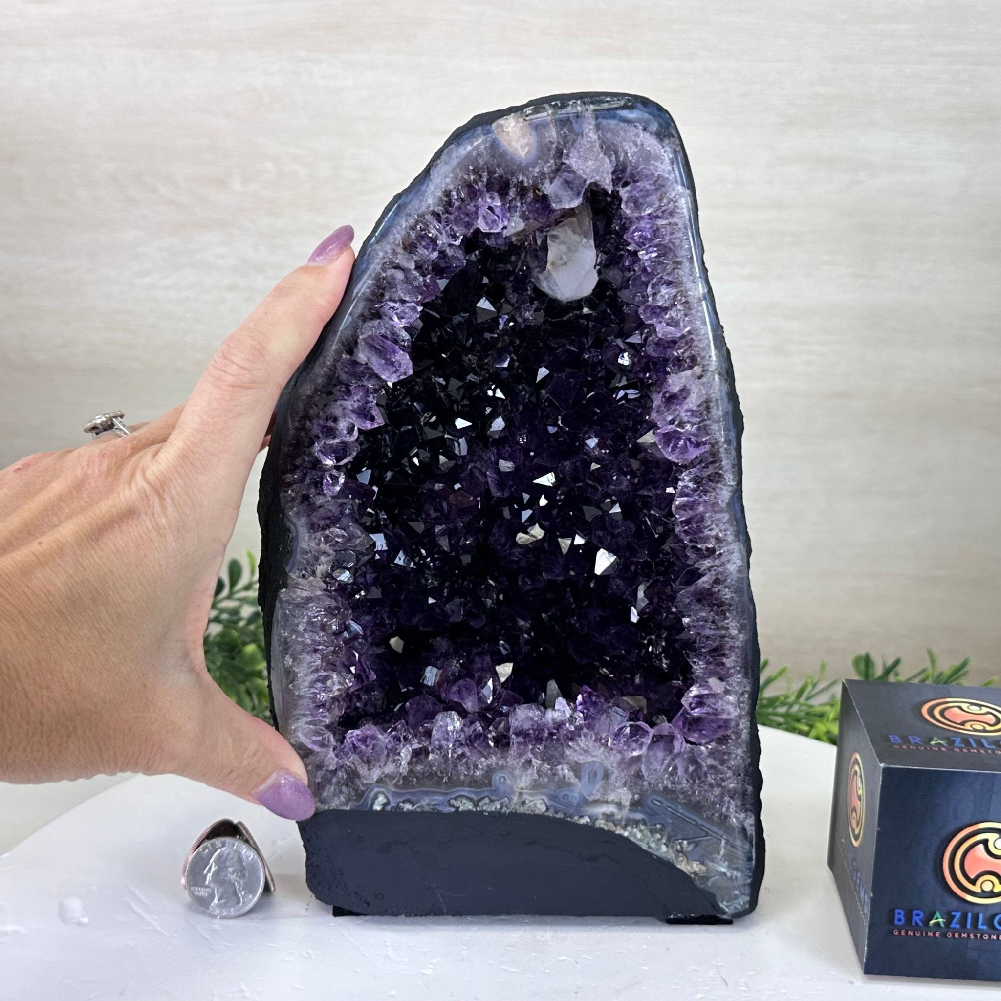 Extra Plus Quality Amethyst Cathedral, 7.8 lbs & 9.6" Tall #5601 - 1432 - Brazil GemsBrazil GemsExtra Plus Quality Amethyst Cathedral, 7.8 lbs & 9.6" Tall #5601 - 1432Cathedrals5601 - 1432