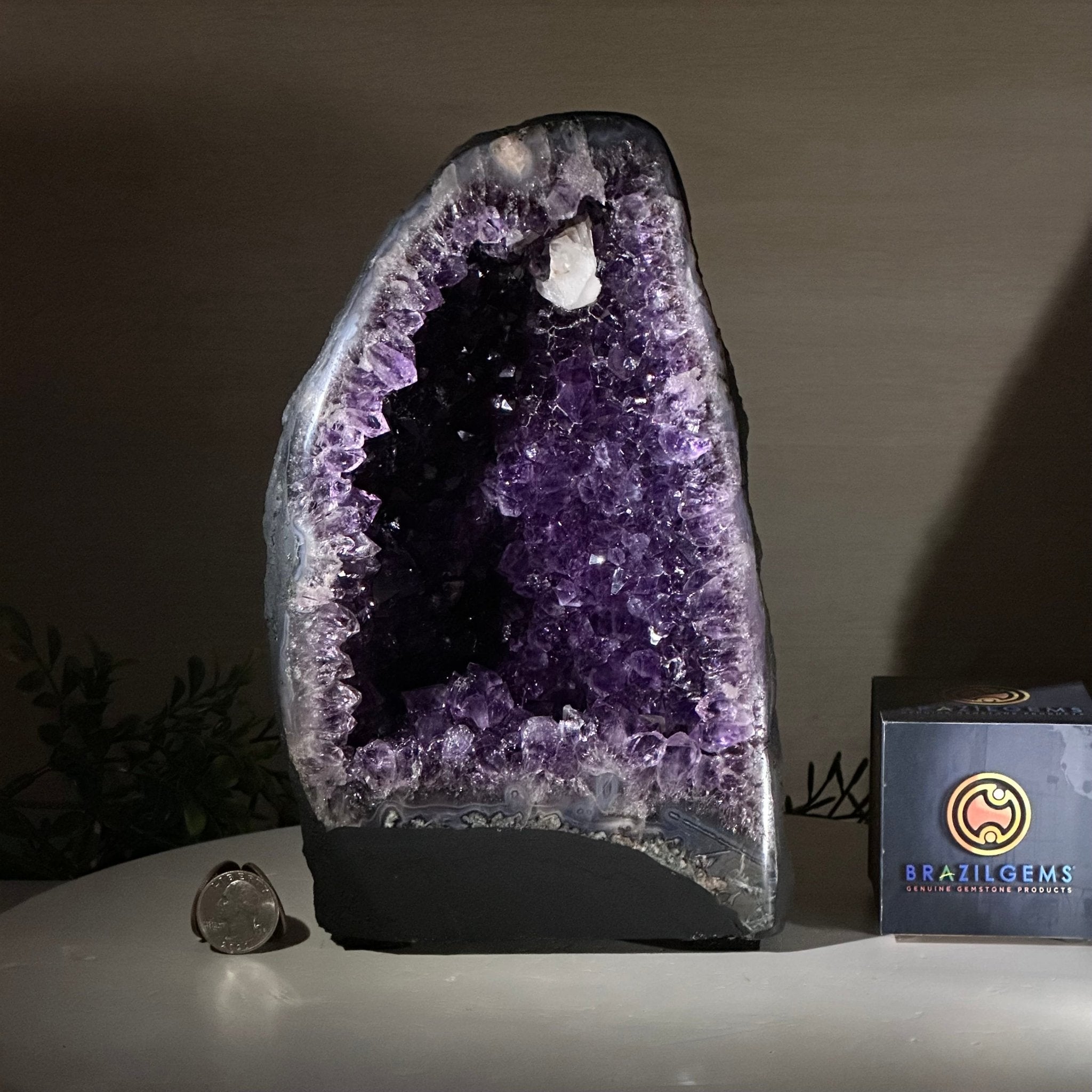 Extra Plus Quality Amethyst Cathedral, 7.8 lbs & 9.6" Tall #5601 - 1432 - Brazil GemsBrazil GemsExtra Plus Quality Amethyst Cathedral, 7.8 lbs & 9.6" Tall #5601 - 1432Cathedrals5601 - 1432