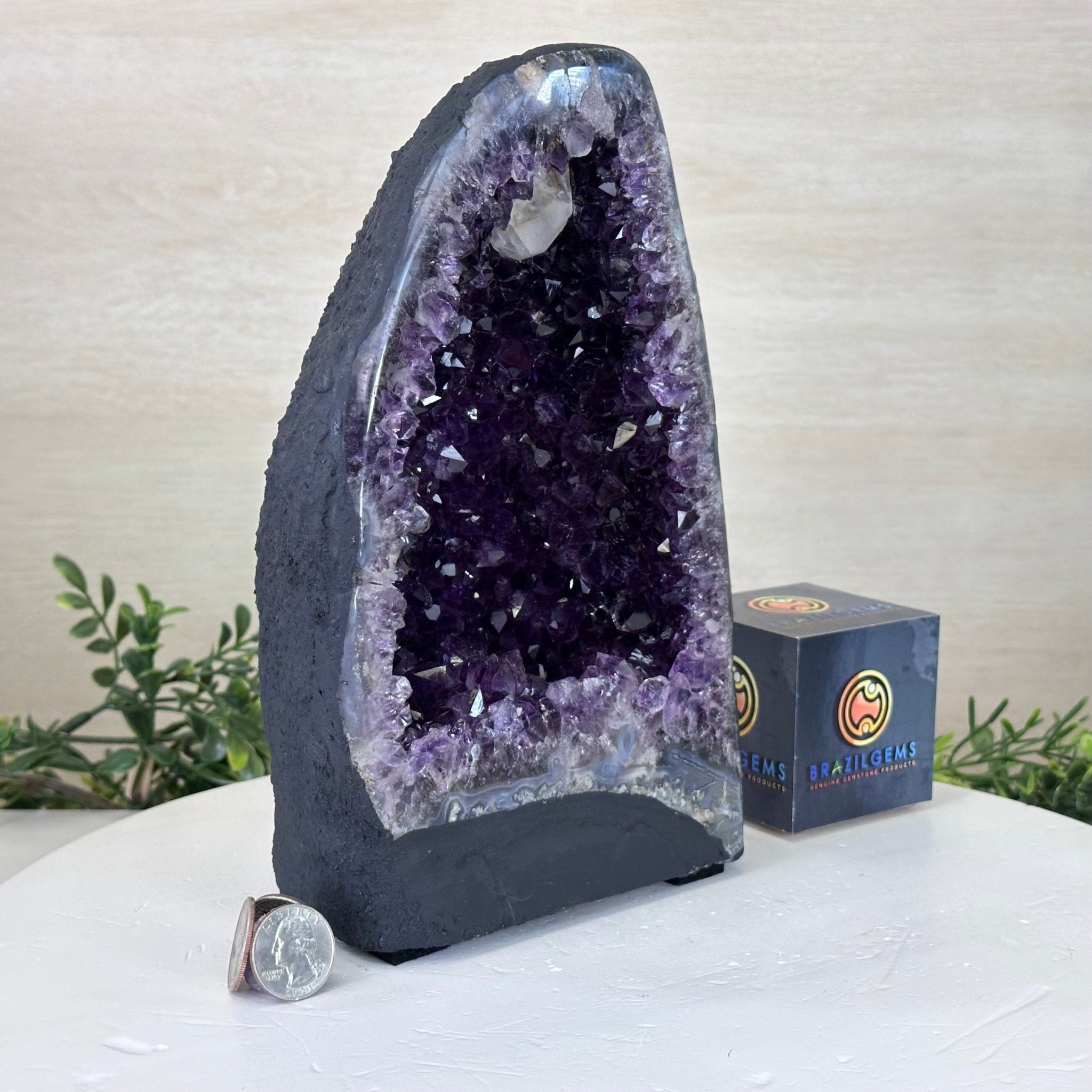 Extra Plus Quality Amethyst Cathedral, 7.8 lbs & 9.6" Tall #5601 - 1432 - Brazil GemsBrazil GemsExtra Plus Quality Amethyst Cathedral, 7.8 lbs & 9.6" Tall #5601 - 1432Cathedrals5601 - 1432