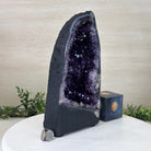 Extra Plus Quality Amethyst Cathedral, 8.9 lbs & 11.3" Tall #5601 - 1434 - Brazil GemsBrazil GemsExtra Plus Quality Amethyst Cathedral, 8.9 lbs & 11.3" Tall #5601 - 1434Cathedrals5601 - 1434