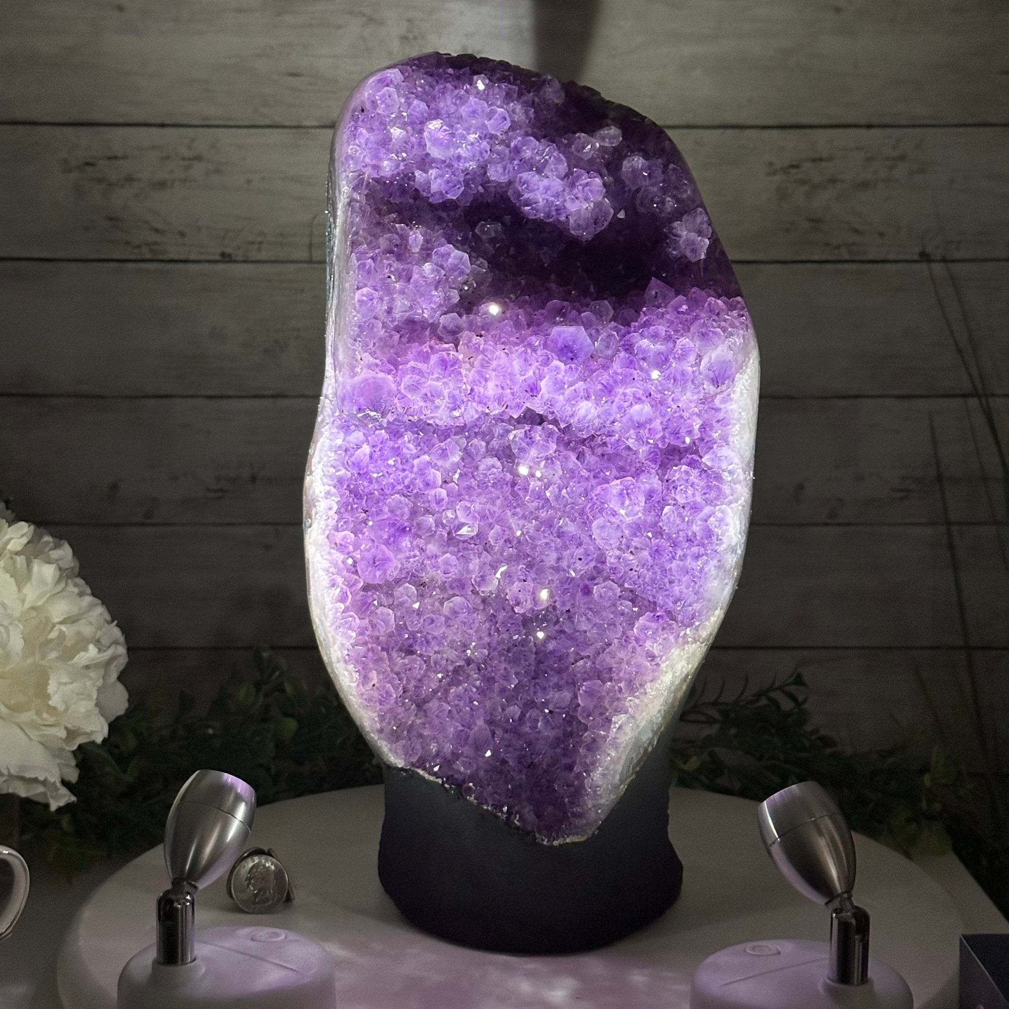Extra Plus Quality Amethyst Cluster, Cement Base, 13.8" Tall #5614-0116 - Brazil GemsBrazil GemsExtra Plus Quality Amethyst Cluster, Cement Base, 13.8" Tall #5614-0116Clusters on Cement Bases5614-0116