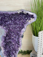 Extra Plus Quality Amethyst Clusters on Metal Stand, 161 lbs, 37" Tall #5491 - 0036 - Brazil GemsBrazil GemsExtra Plus Quality Amethyst Clusters on Metal Stand, 161 lbs, 37" Tall #5491 - 0036Clusters on Fixed Bases5491 - 0036