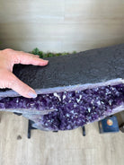 Extra Plus Quality Amethyst Clusters on Metal Stand, 161 lbs, 37" Tall #5491 - 0036 - Brazil GemsBrazil GemsExtra Plus Quality Amethyst Clusters on Metal Stand, 161 lbs, 37" Tall #5491 - 0036Clusters on Fixed Bases5491 - 0036