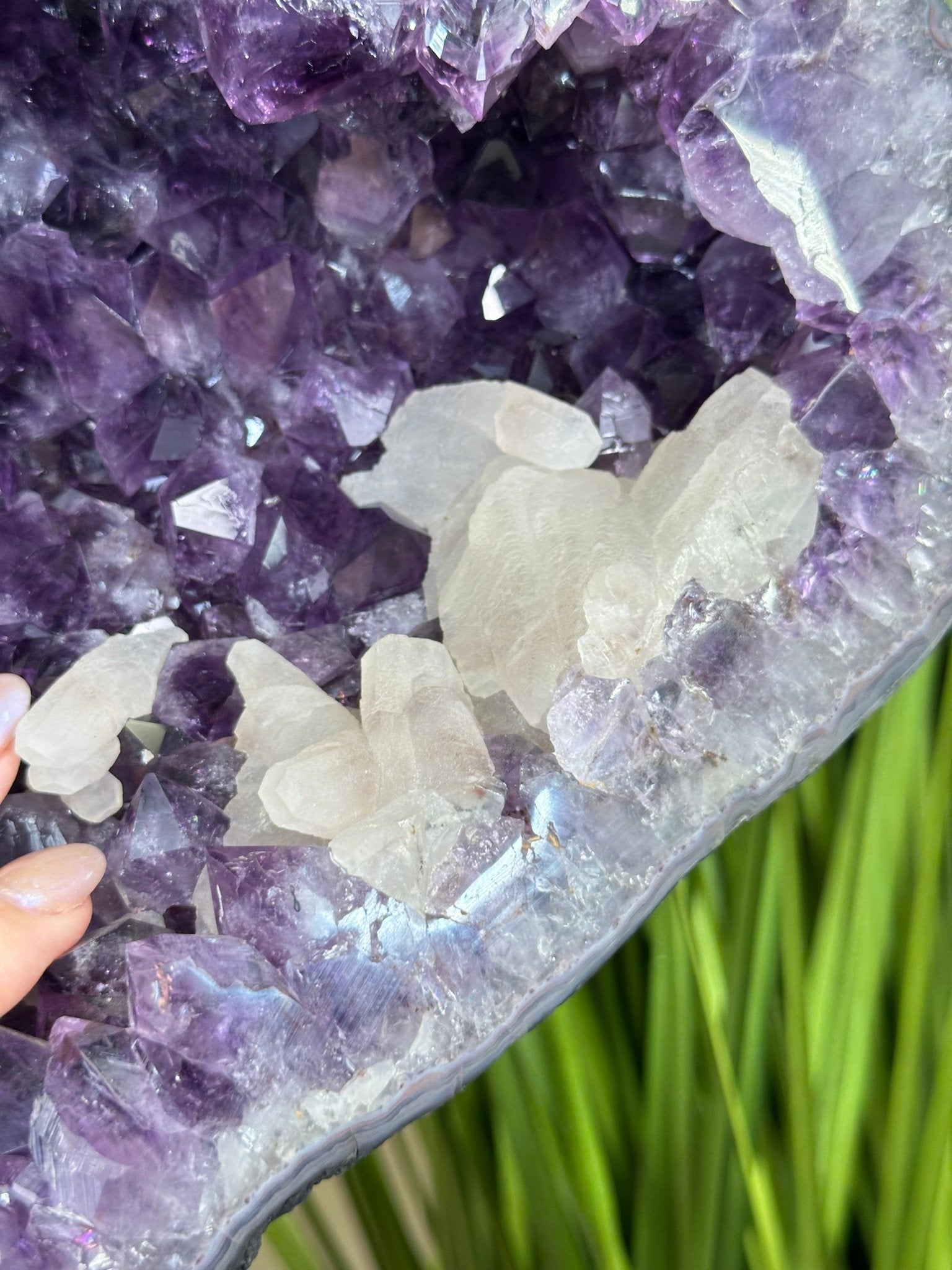 Extra Plus Quality Amethyst Clusters on Metal Stand, 161 lbs, 37" Tall #5491 - 0036 - Brazil GemsBrazil GemsExtra Plus Quality Amethyst Clusters on Metal Stand, 161 lbs, 37" Tall #5491 - 0036Clusters on Fixed Bases5491 - 0036