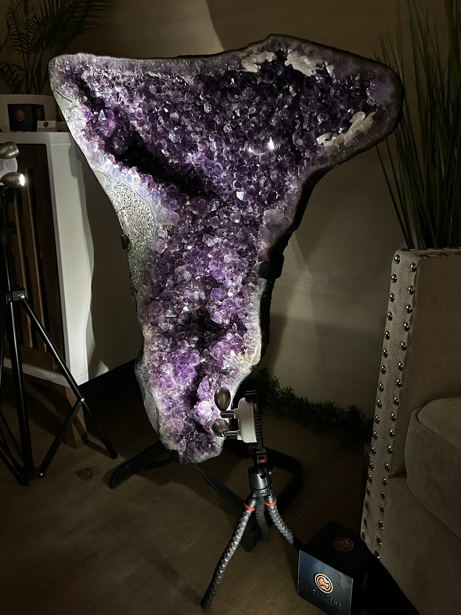 Extra Plus Quality Amethyst Clusters on Metal Stand, 161 lbs, 37" Tall #5491 - 0036 - Brazil GemsBrazil GemsExtra Plus Quality Amethyst Clusters on Metal Stand, 161 lbs, 37" Tall #5491 - 0036Clusters on Fixed Bases5491 - 0036