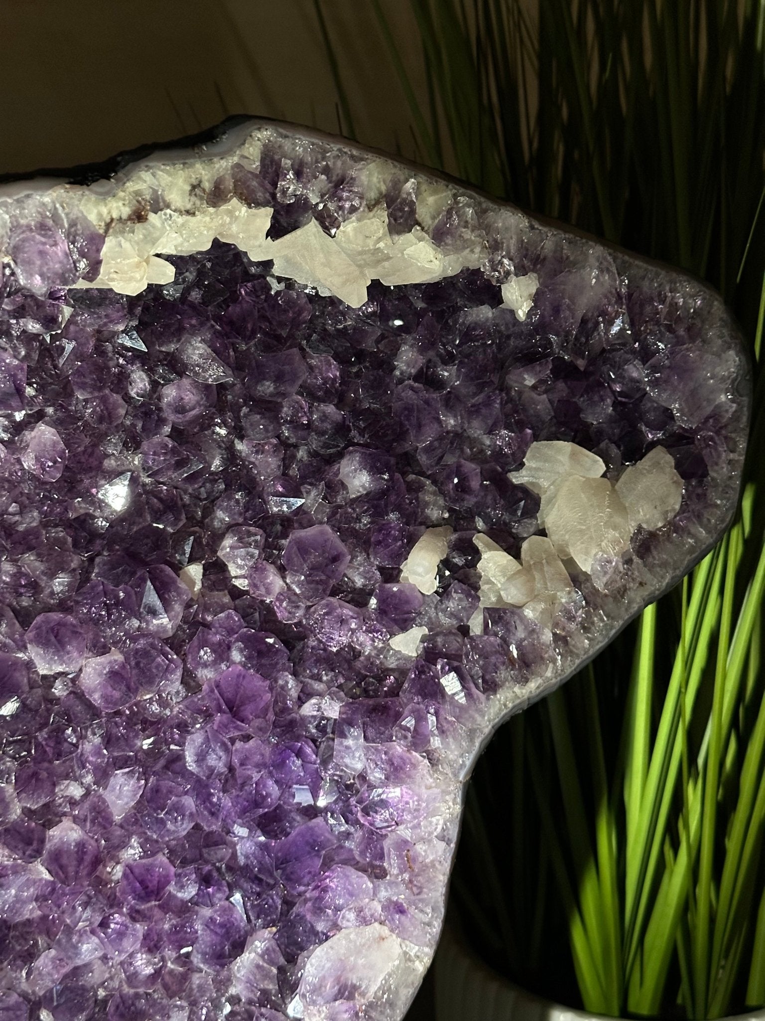 Extra Plus Quality Amethyst Clusters on Metal Stand, 161 lbs, 37" Tall #5491 - 0036 - Brazil GemsBrazil GemsExtra Plus Quality Amethyst Clusters on Metal Stand, 161 lbs, 37" Tall #5491 - 0036Clusters on Fixed Bases5491 - 0036