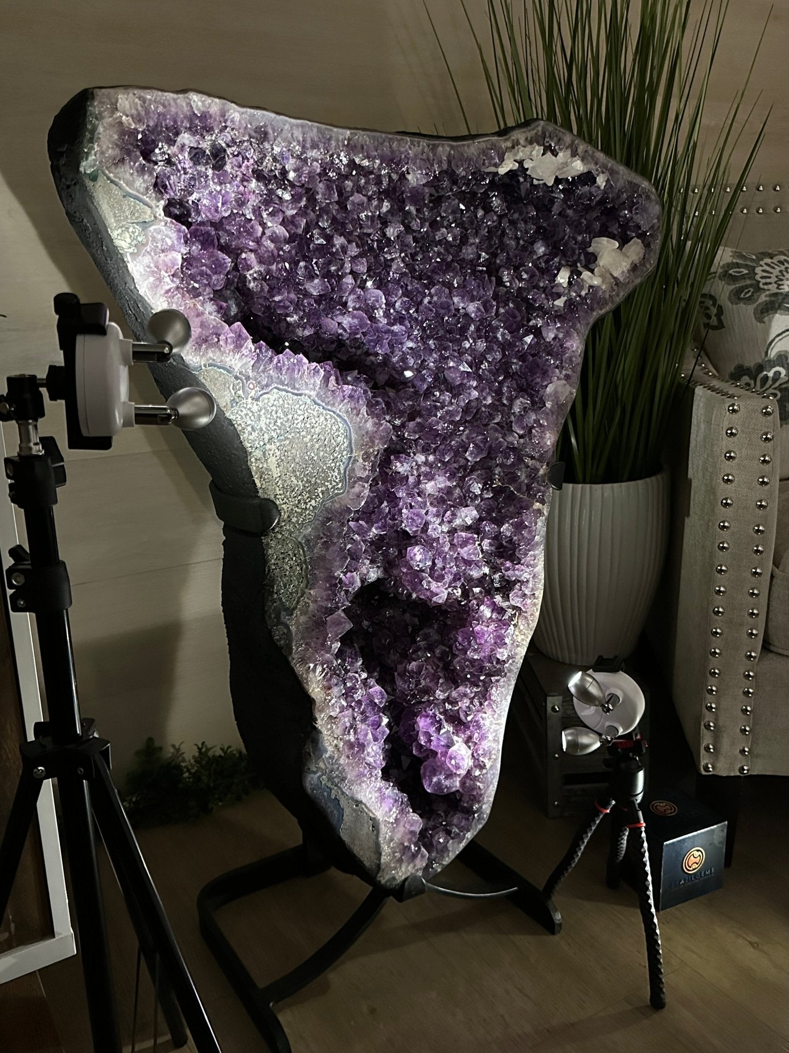 Extra Plus Quality Amethyst Clusters on Metal Stand, 161 lbs, 37" Tall #5491 - 0036 - Brazil GemsBrazil GemsExtra Plus Quality Amethyst Clusters on Metal Stand, 161 lbs, 37" Tall #5491 - 0036Clusters on Fixed Bases5491 - 0036